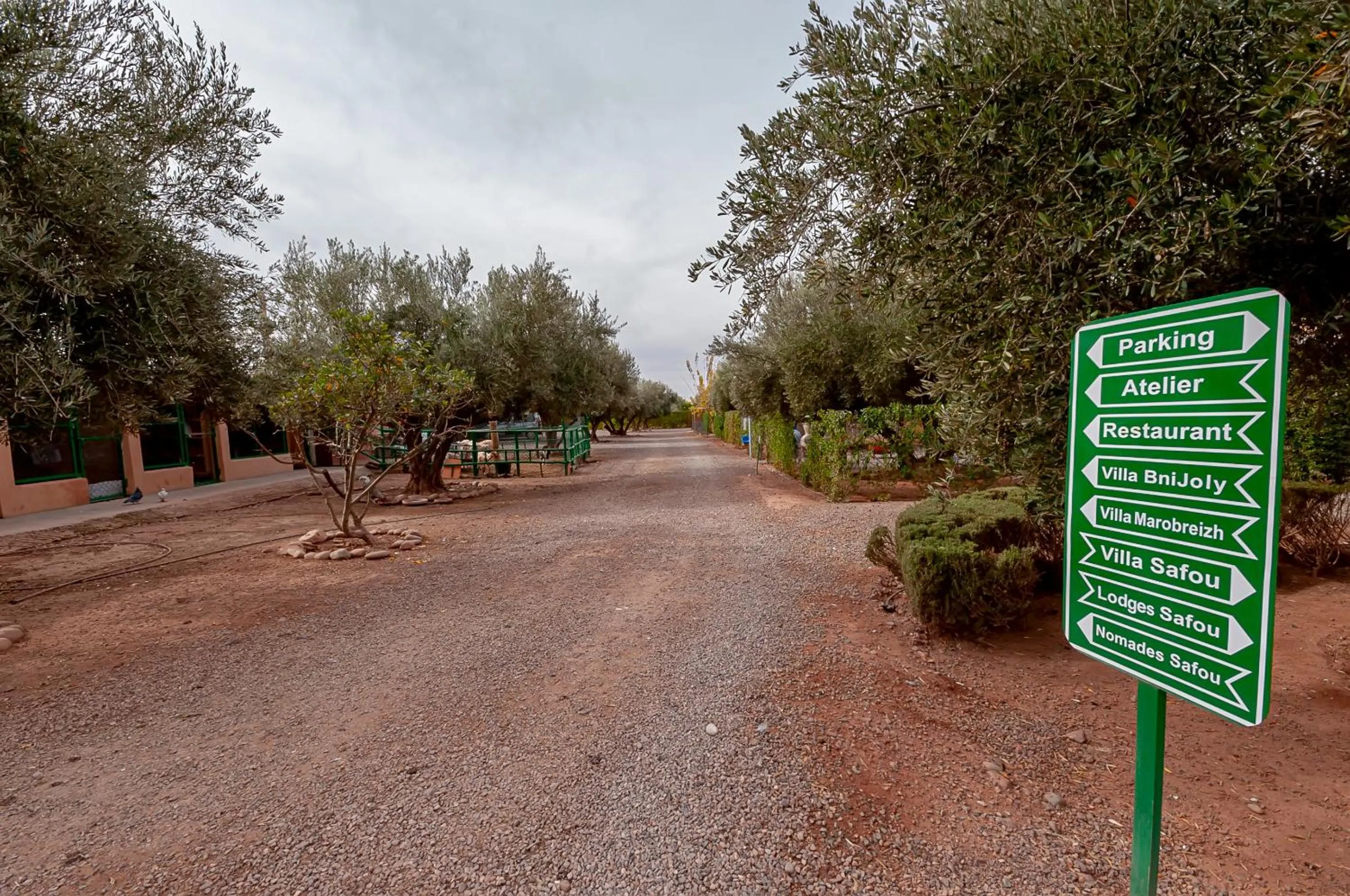 Spring in Ferme Sidi Safou & Spa