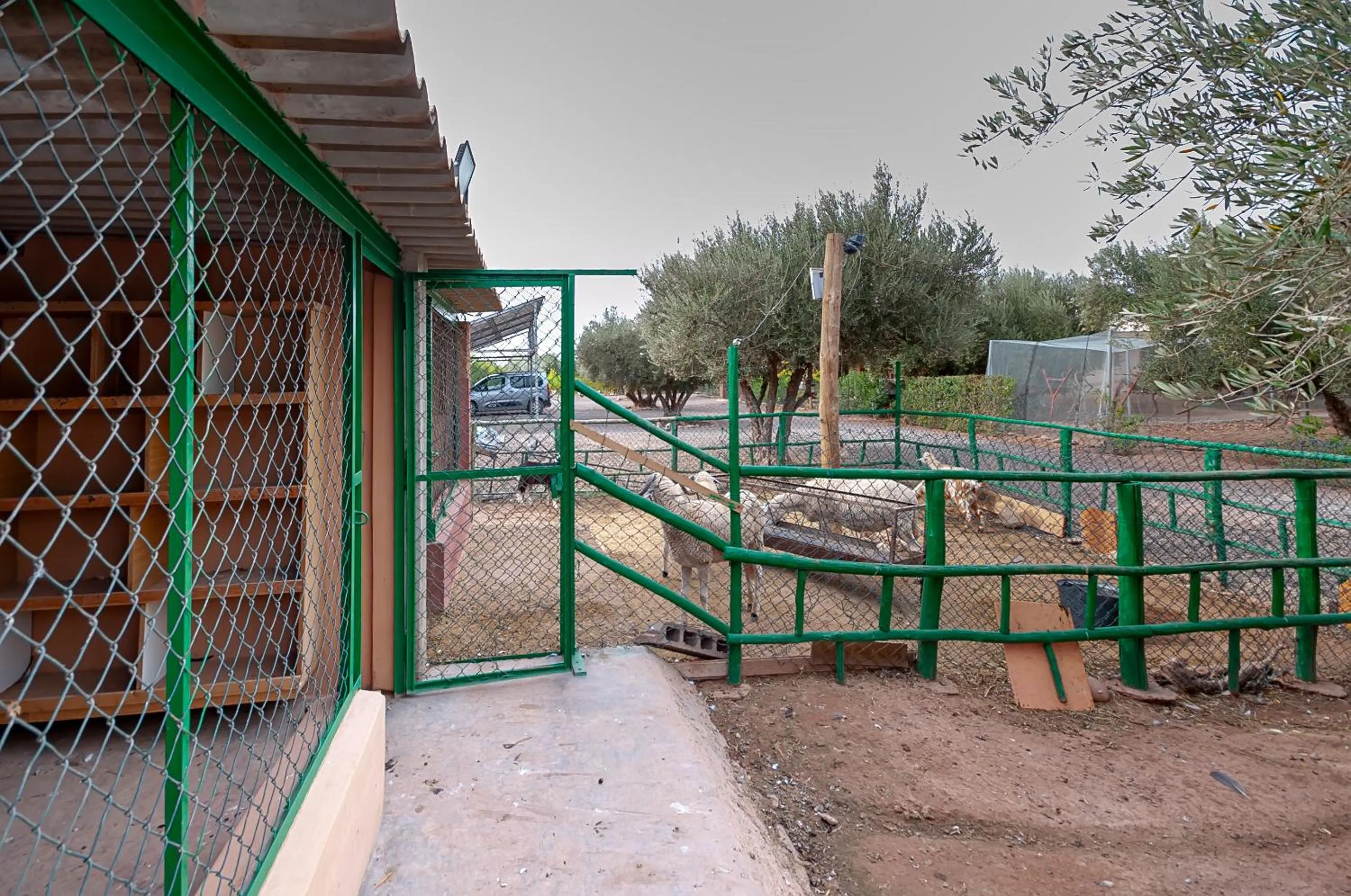 Day in Ferme Sidi Safou & Spa