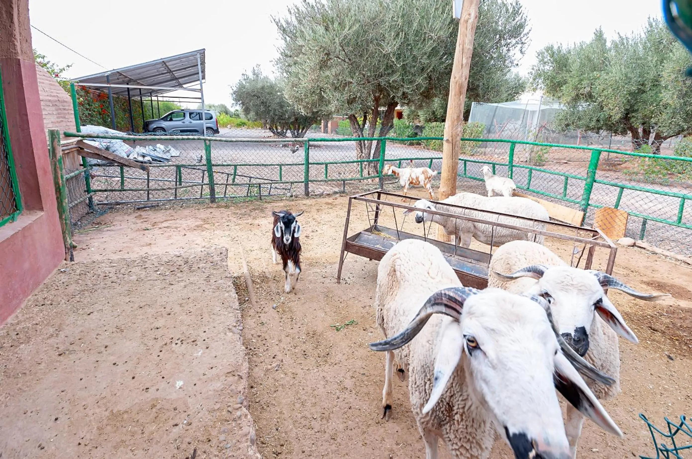 Day in Ferme Sidi Safou & Spa