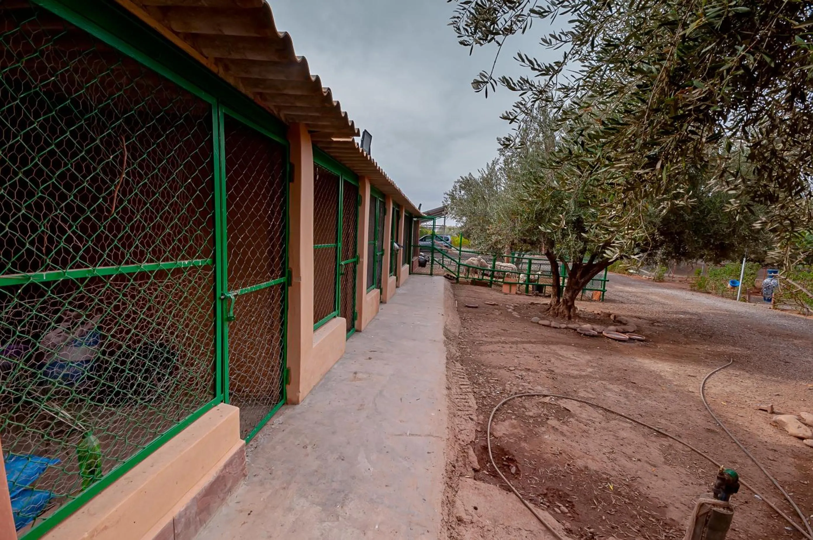 Day in Ferme Sidi Safou & Spa