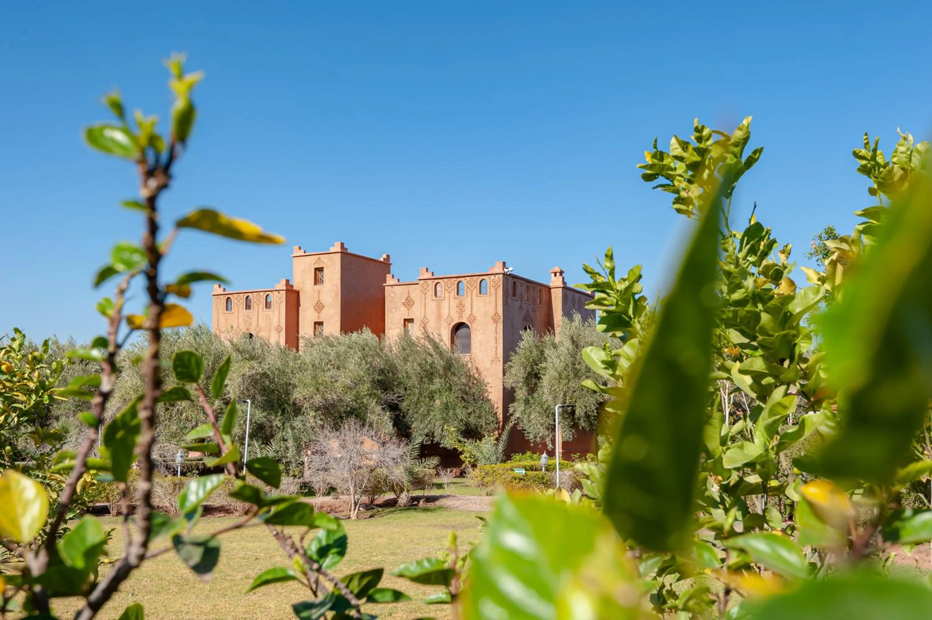 Garden view in Ferme Sidi Safou & Spa