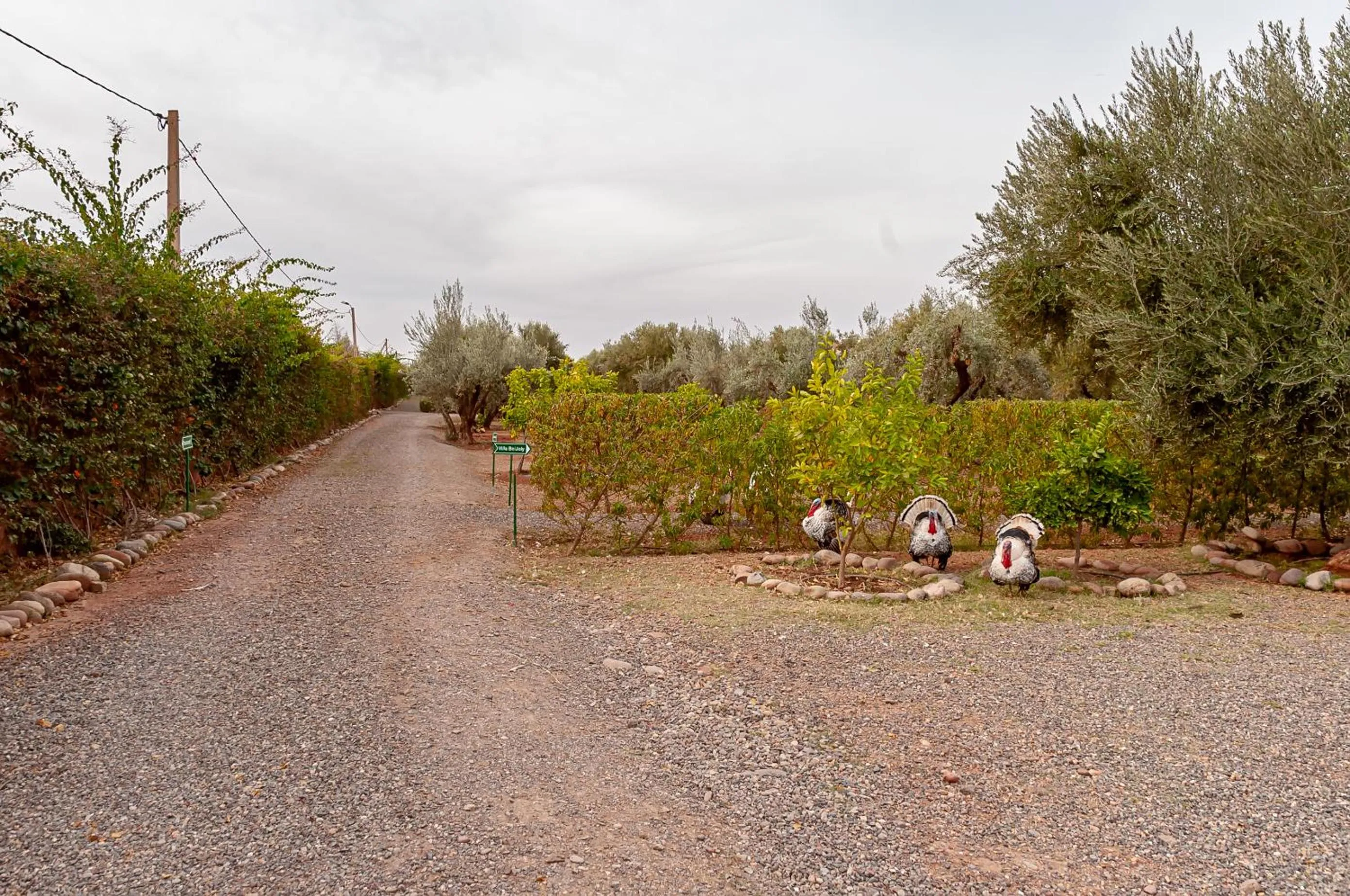 Day in Ferme Sidi Safou & Spa