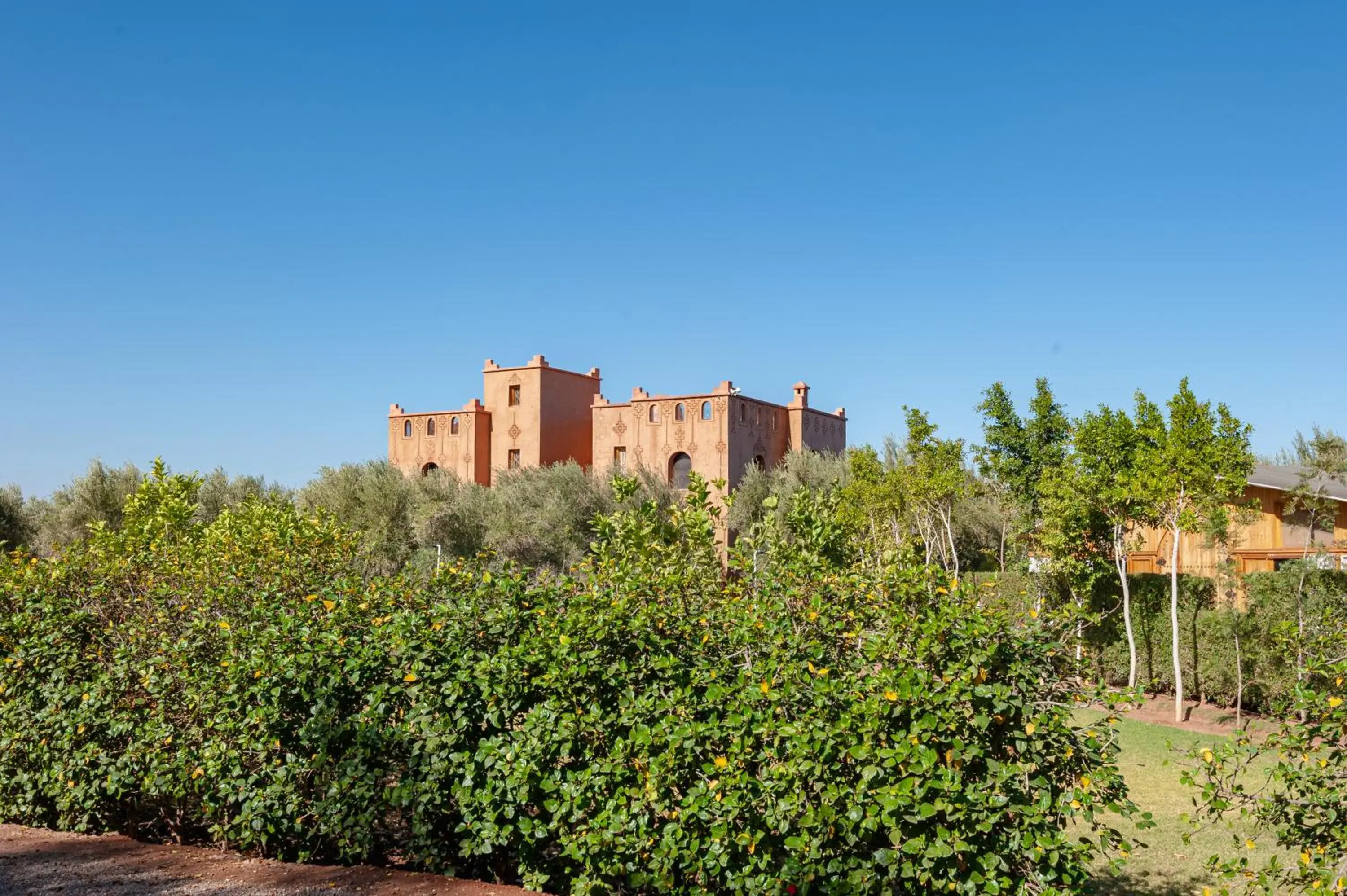 Villa with Private Pool in Ferme Sidi Safou & Spa Villa with Private Pool in Ferme Sidi Safou & Spa