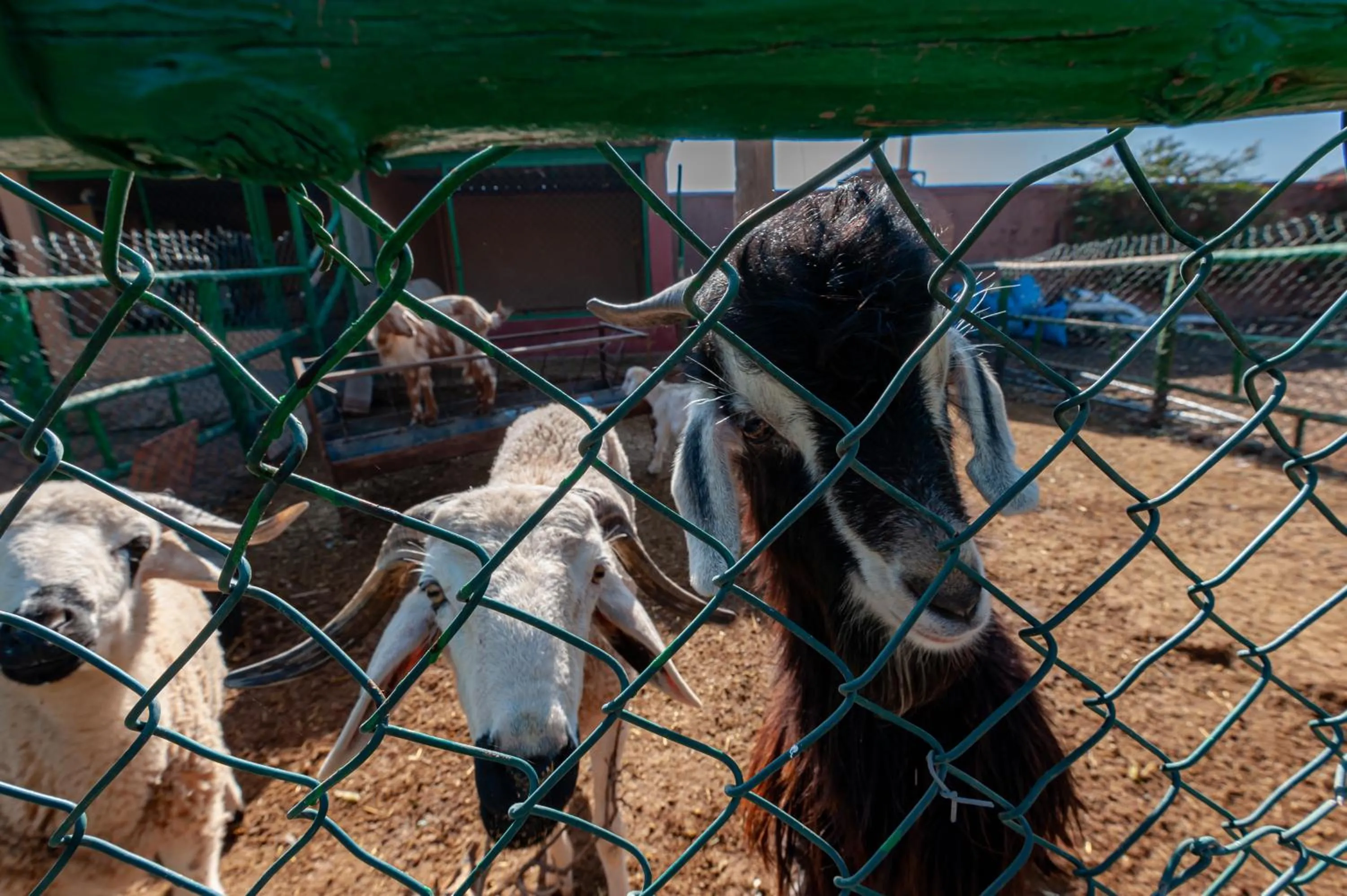 Day in Ferme Sidi Safou & Spa