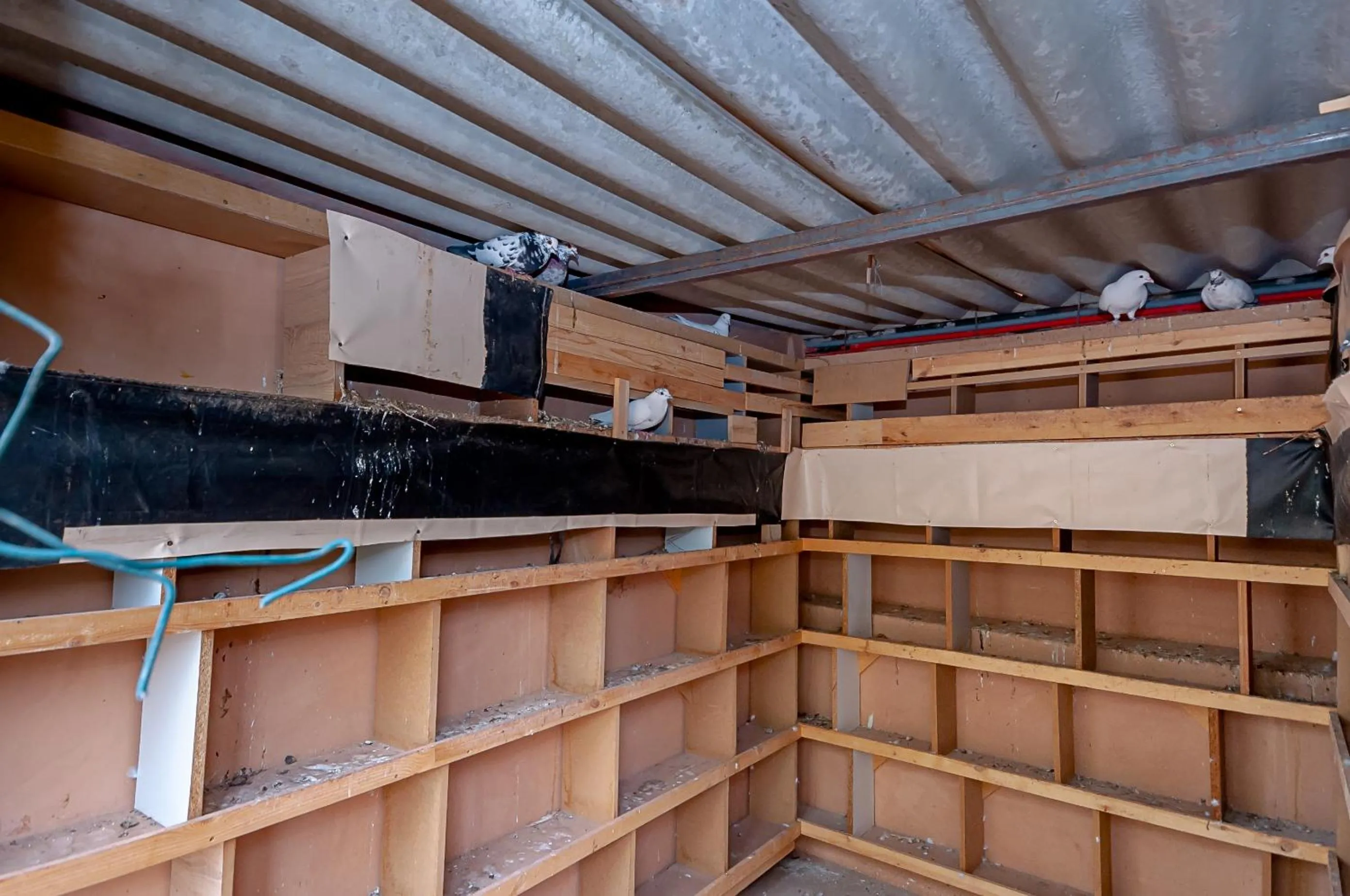 Pets in Ferme Sidi Safou & Spa