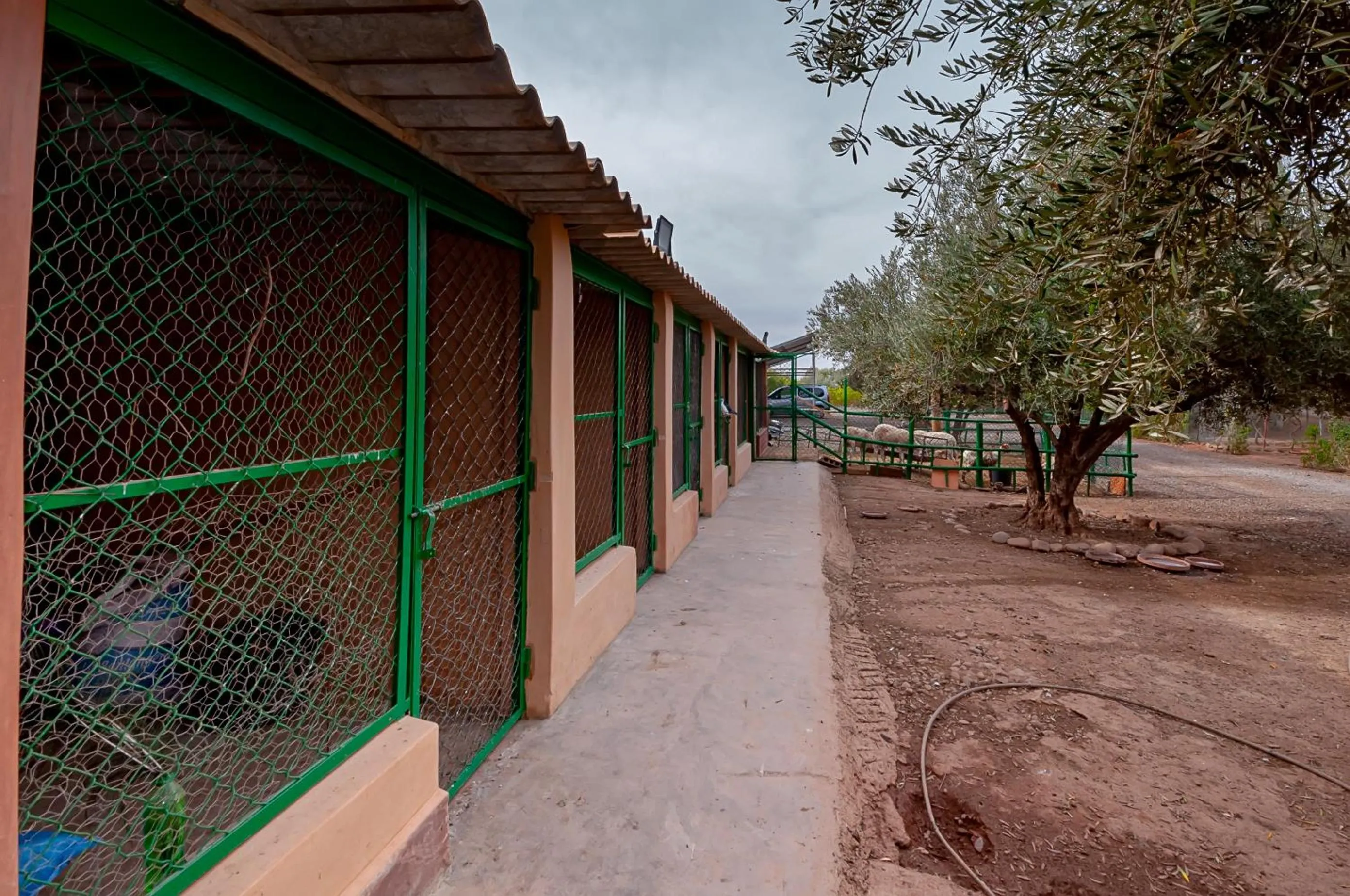 Day in Ferme Sidi Safou & Spa