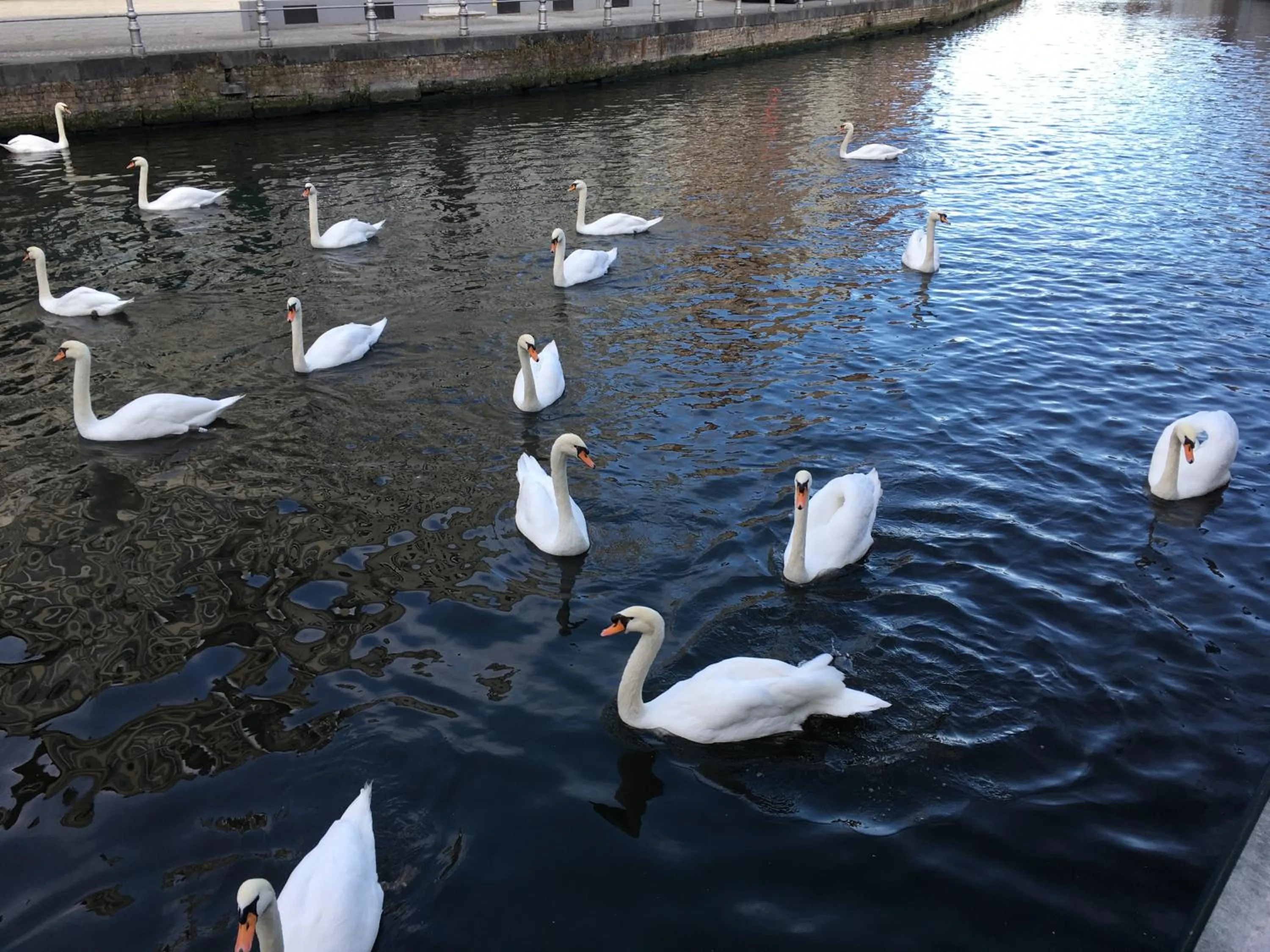 View (from property/room) in Hotel Van Cleef