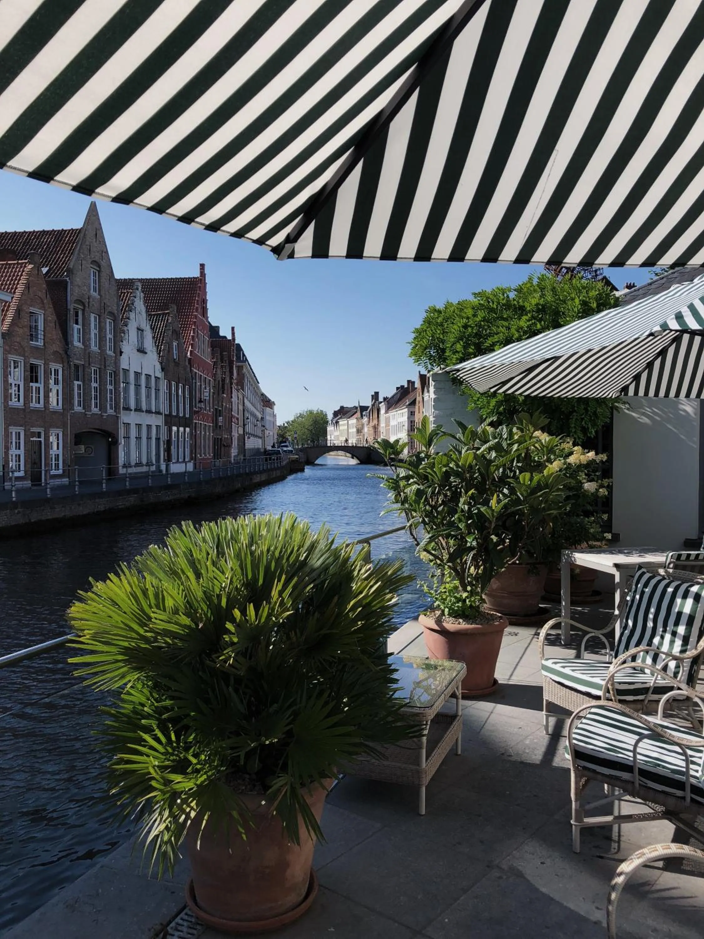 Property building in Hotel Van Cleef