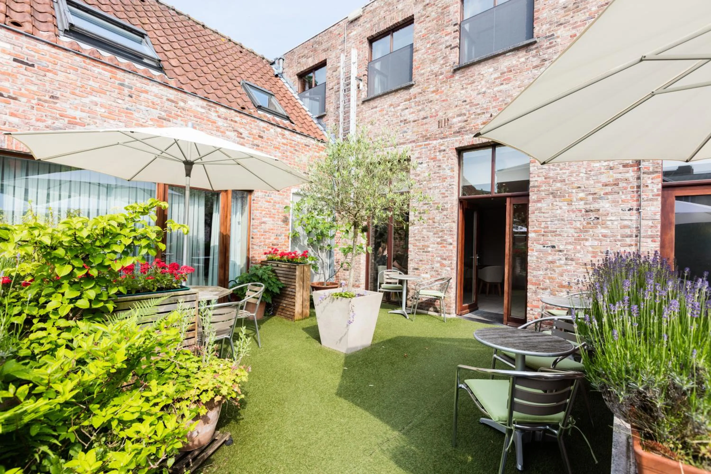 Patio in Bonobo Apartments