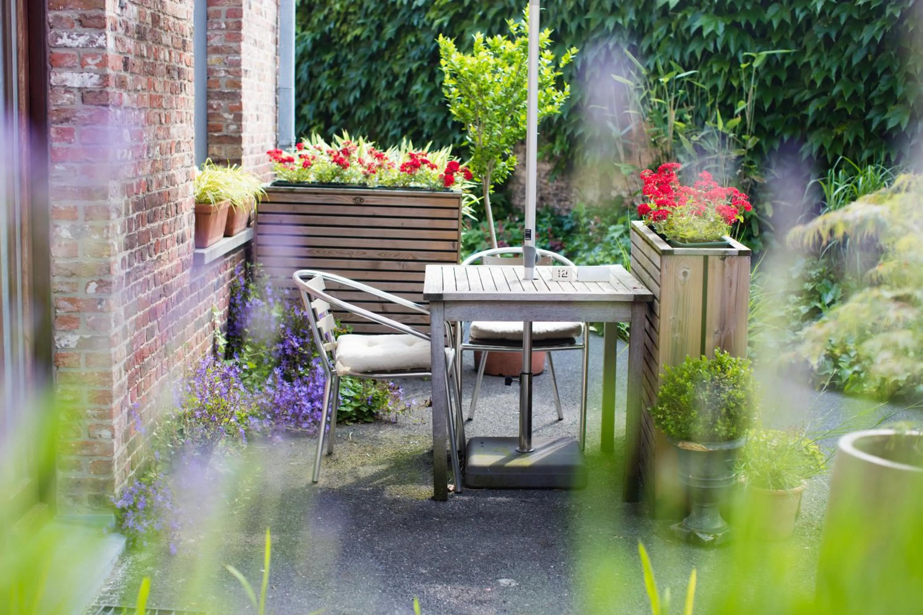 Patio in Bonobo Apartments