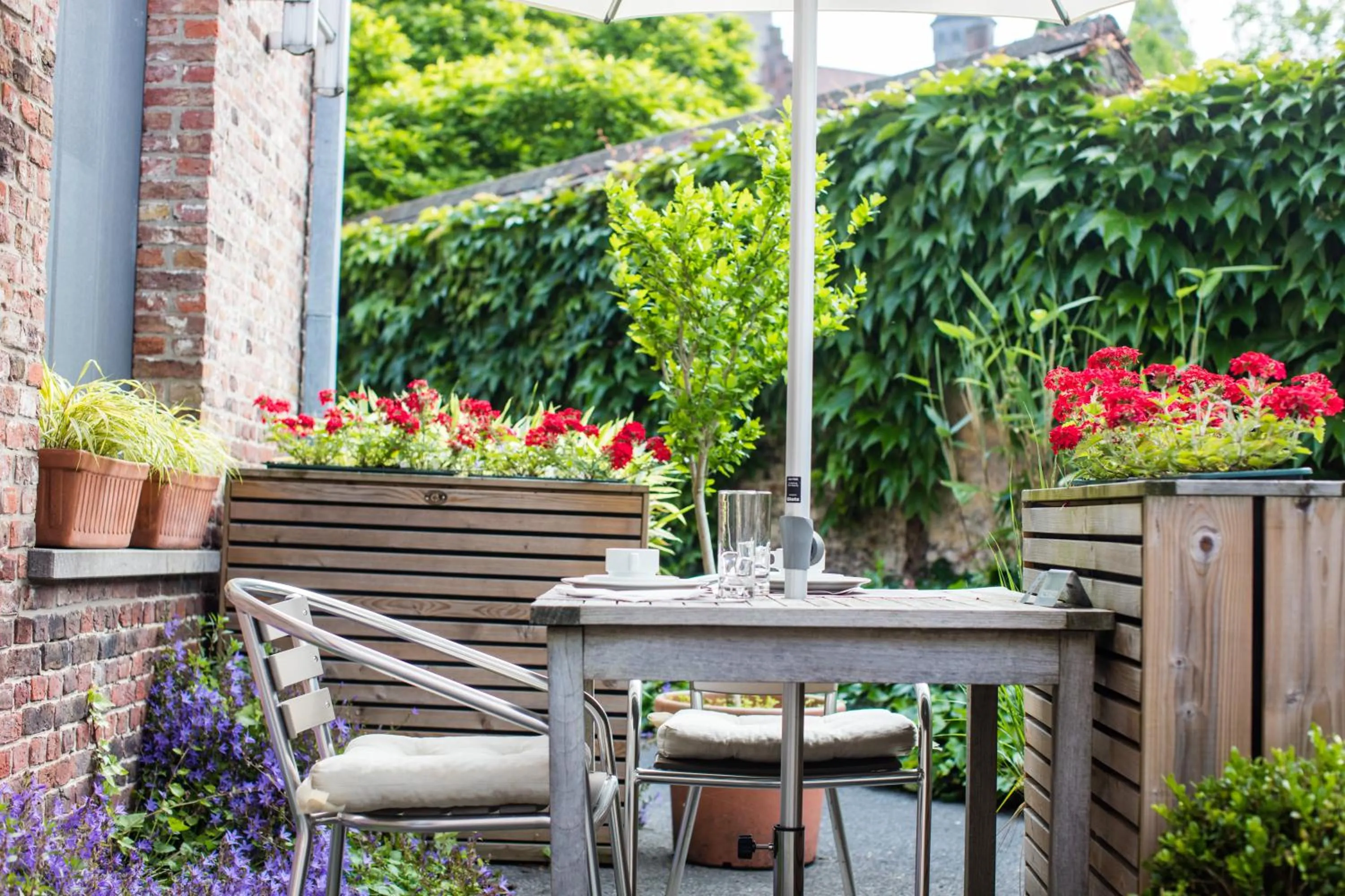 Patio in Bonobo Apartments