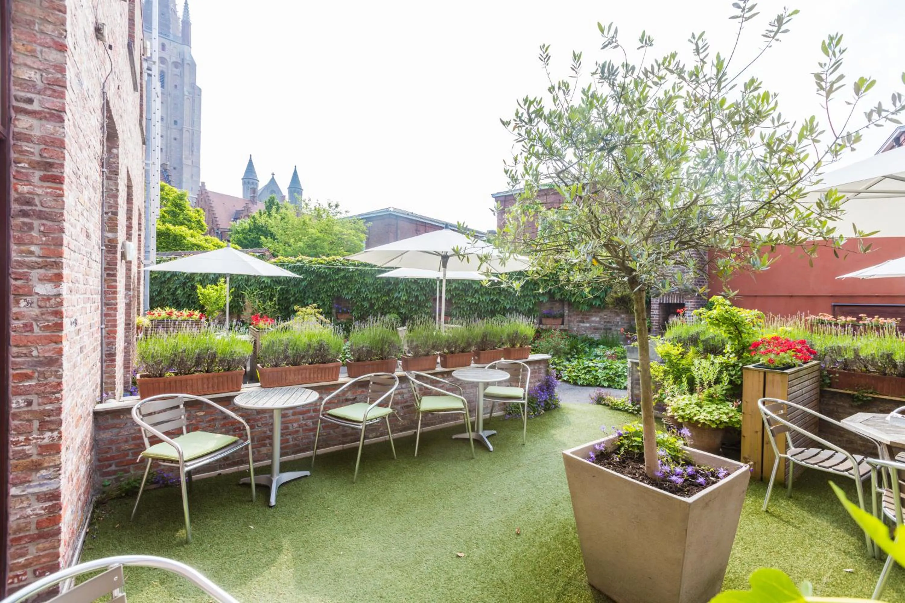 Patio in Bonobo Apartments
