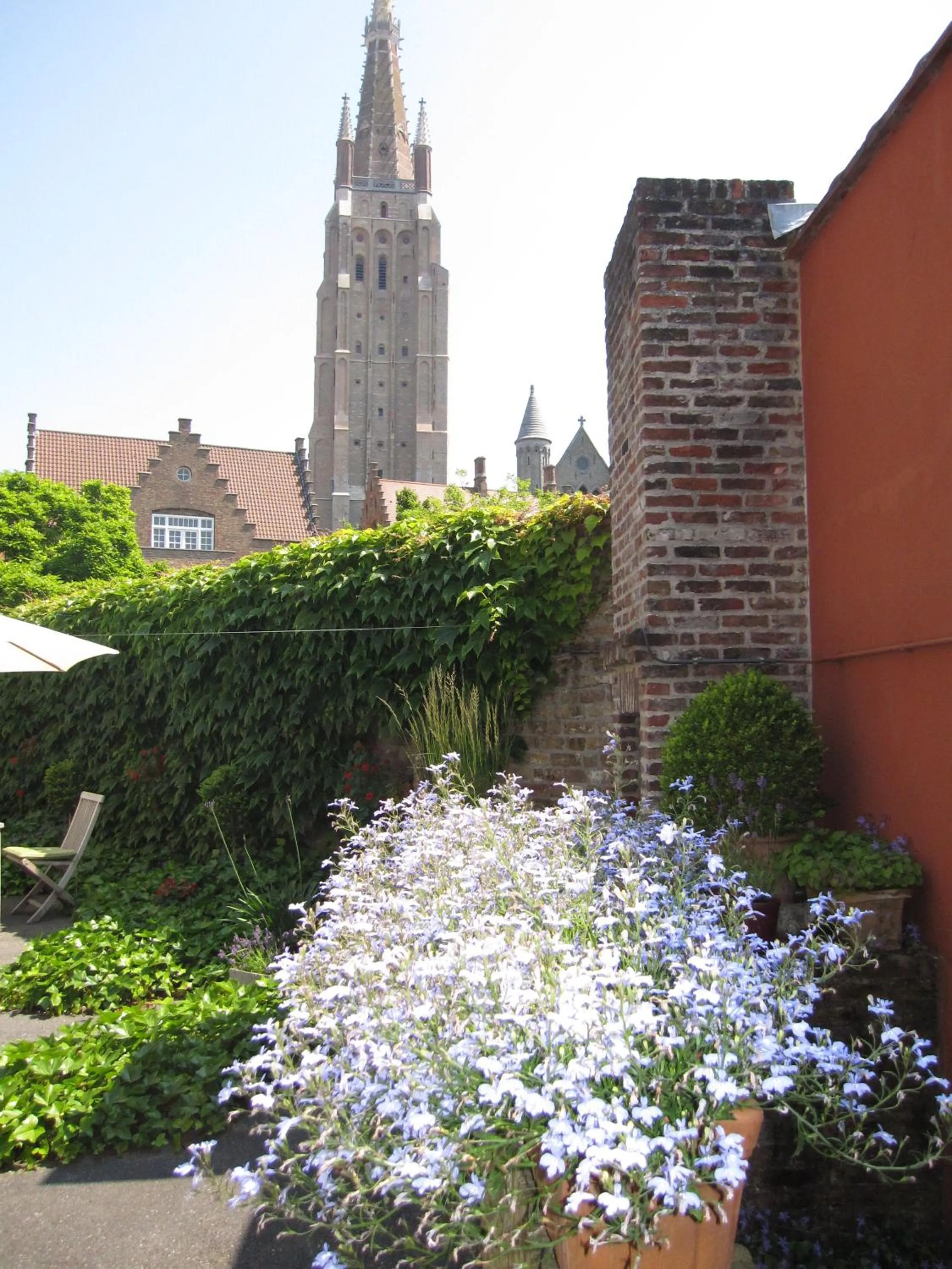Garden in Bonobo Apartments