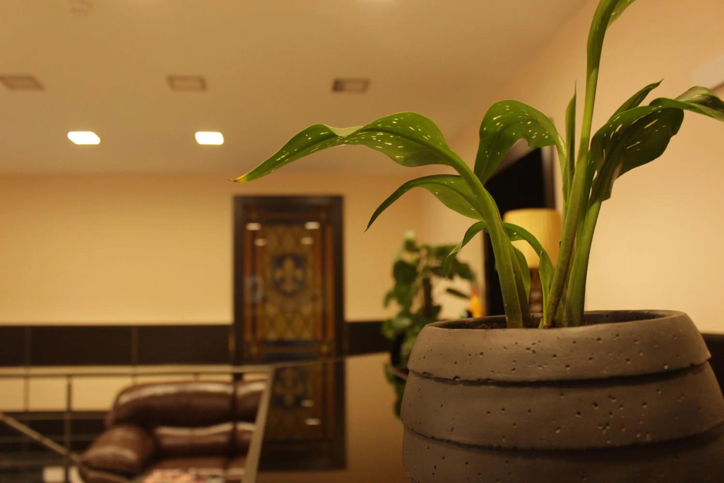 Seating area in Hotel Lilia Yerevan