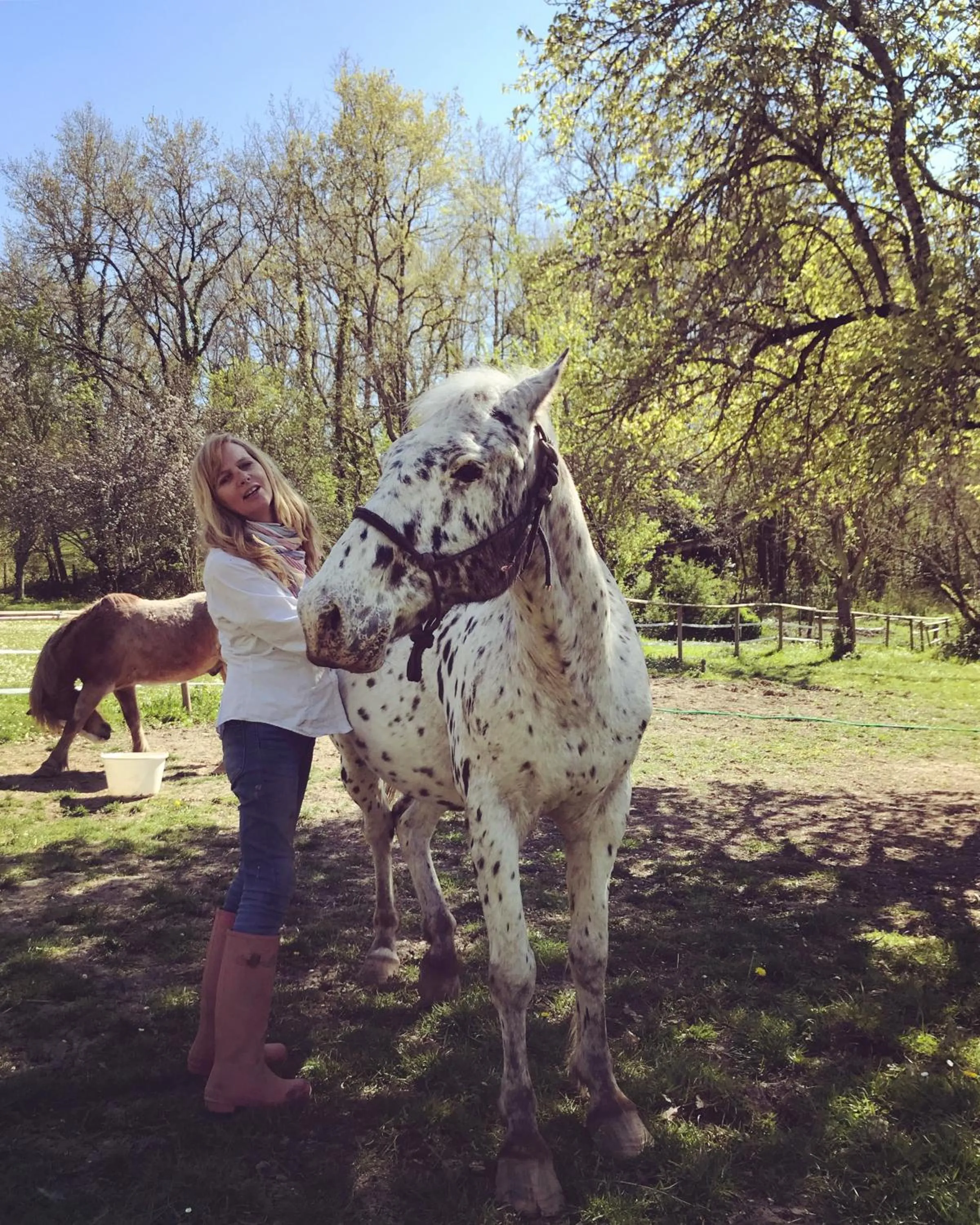 Animals in Le Peyrail