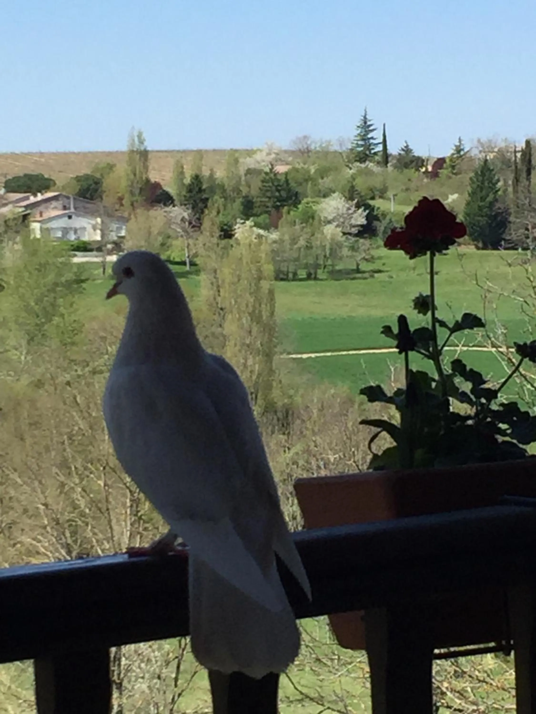 Property building in Le Peyrail