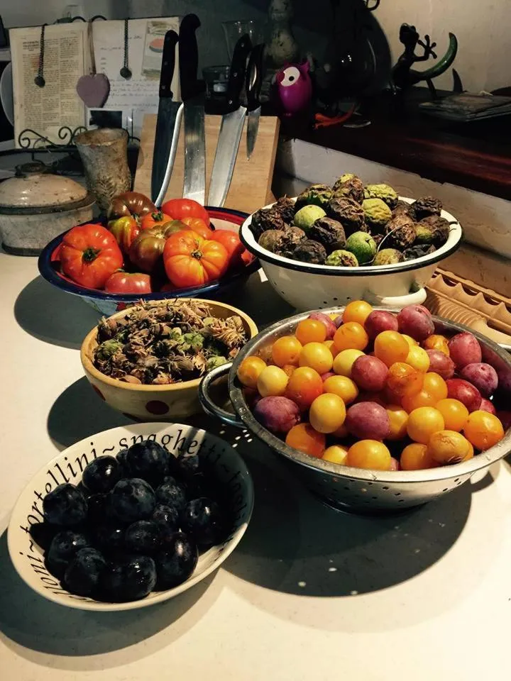 Autumn in Le Peyrail