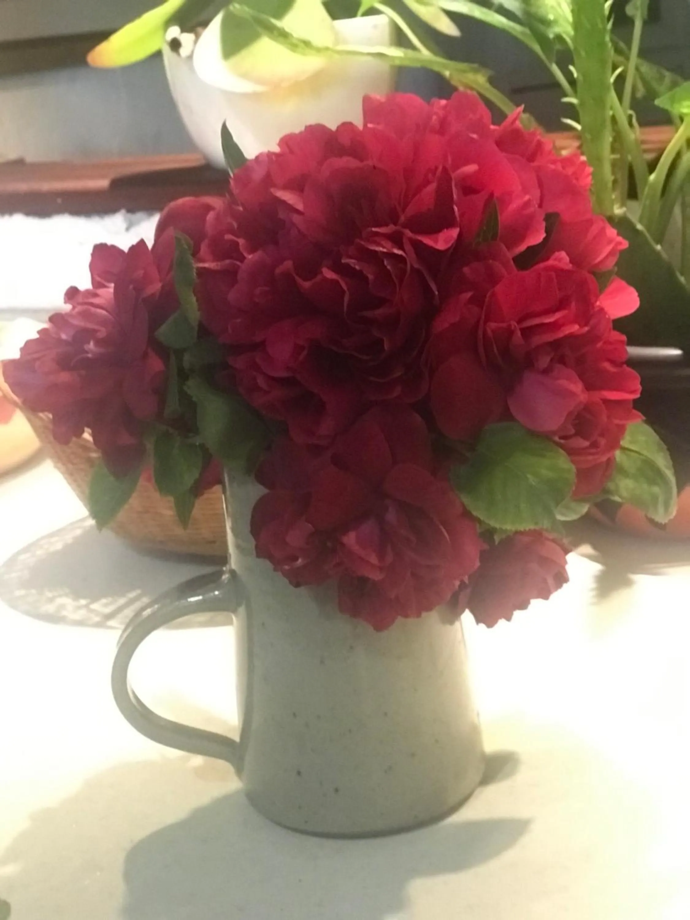 Spring in Le Peyrail