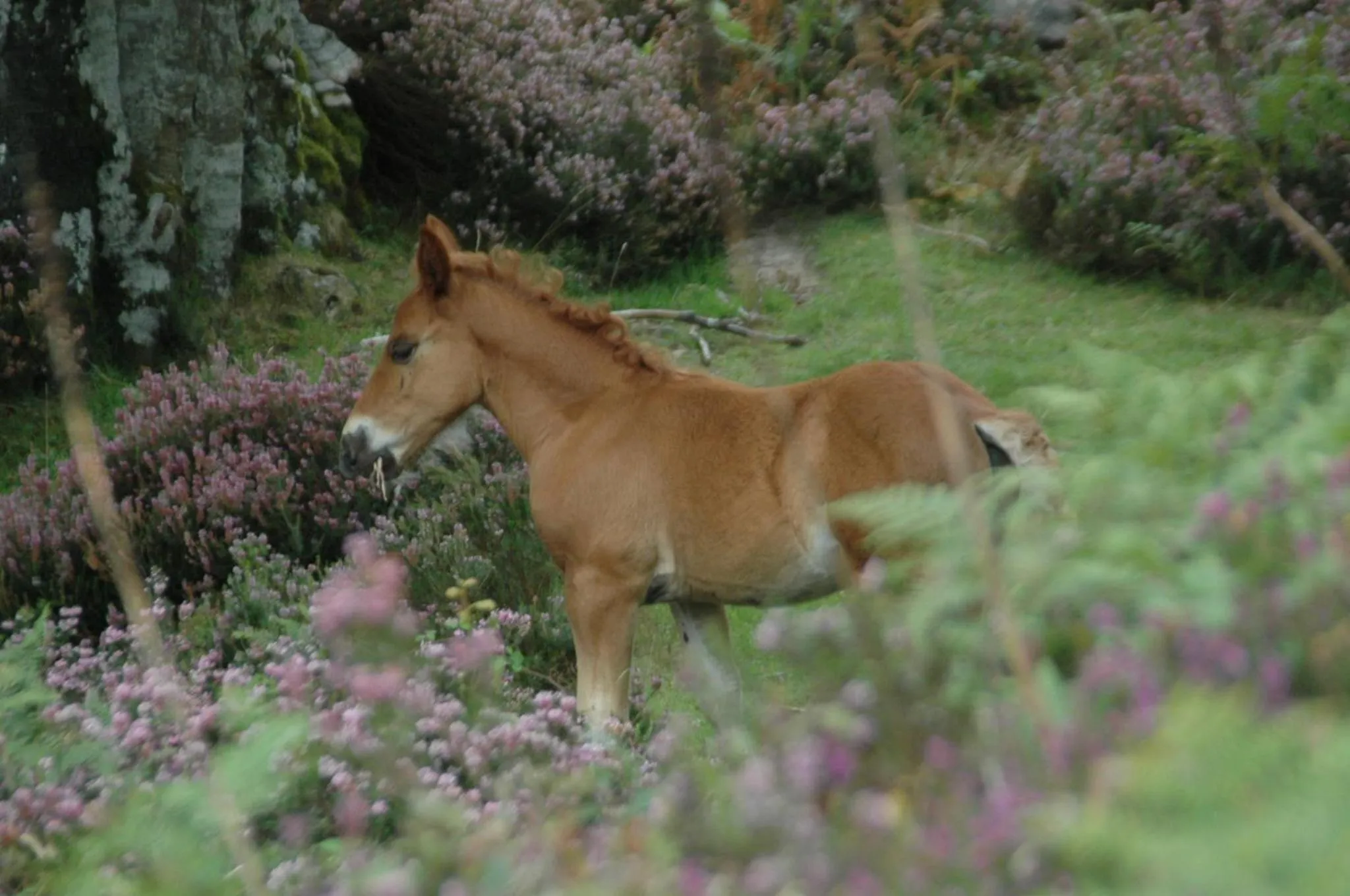 Natural landscape in Posada El Mirador