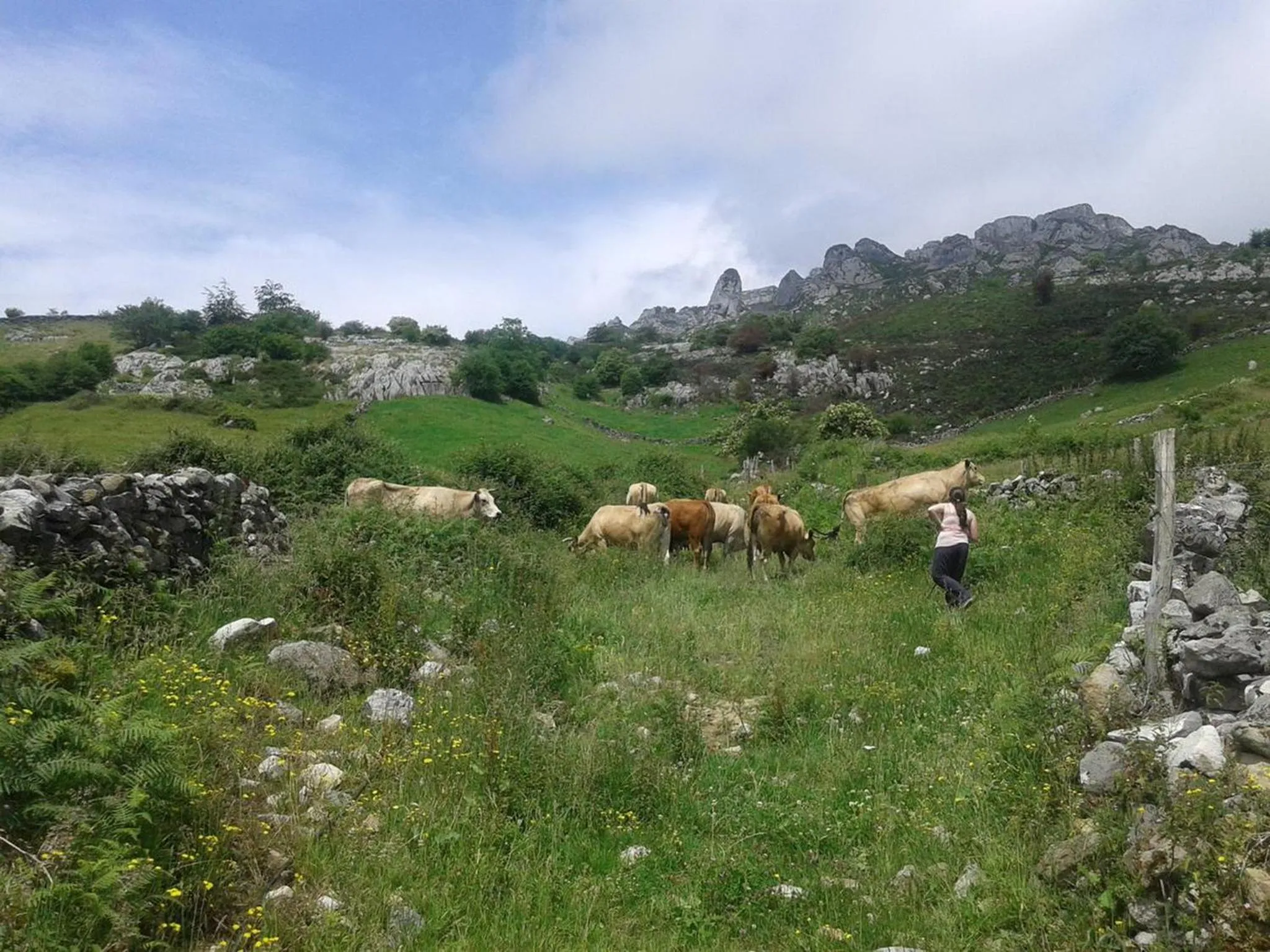 Natural landscape in Posada El Mirador