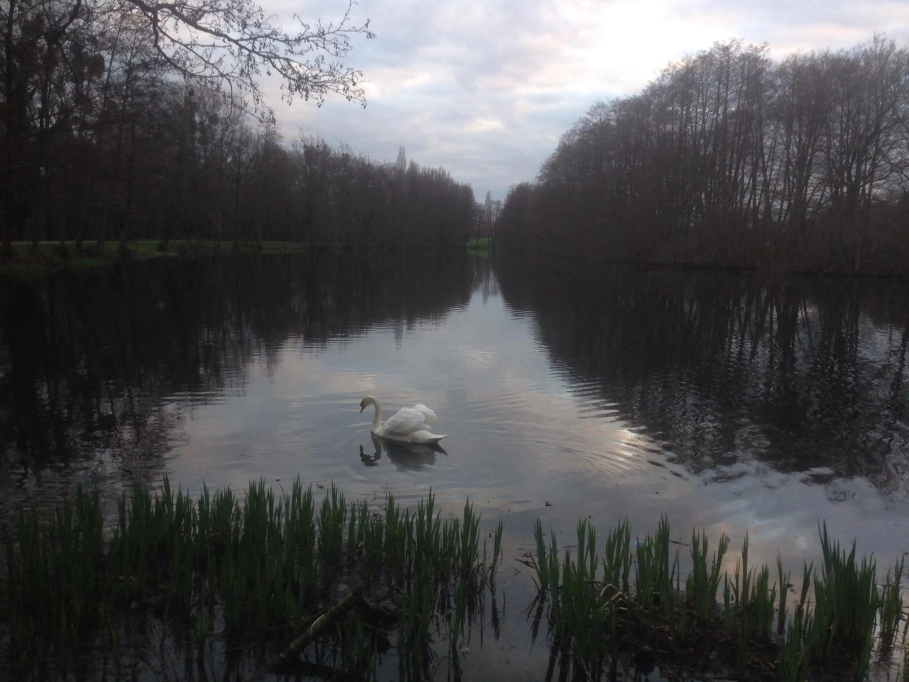 Activities in Logis Hôtel Lodge La Valette