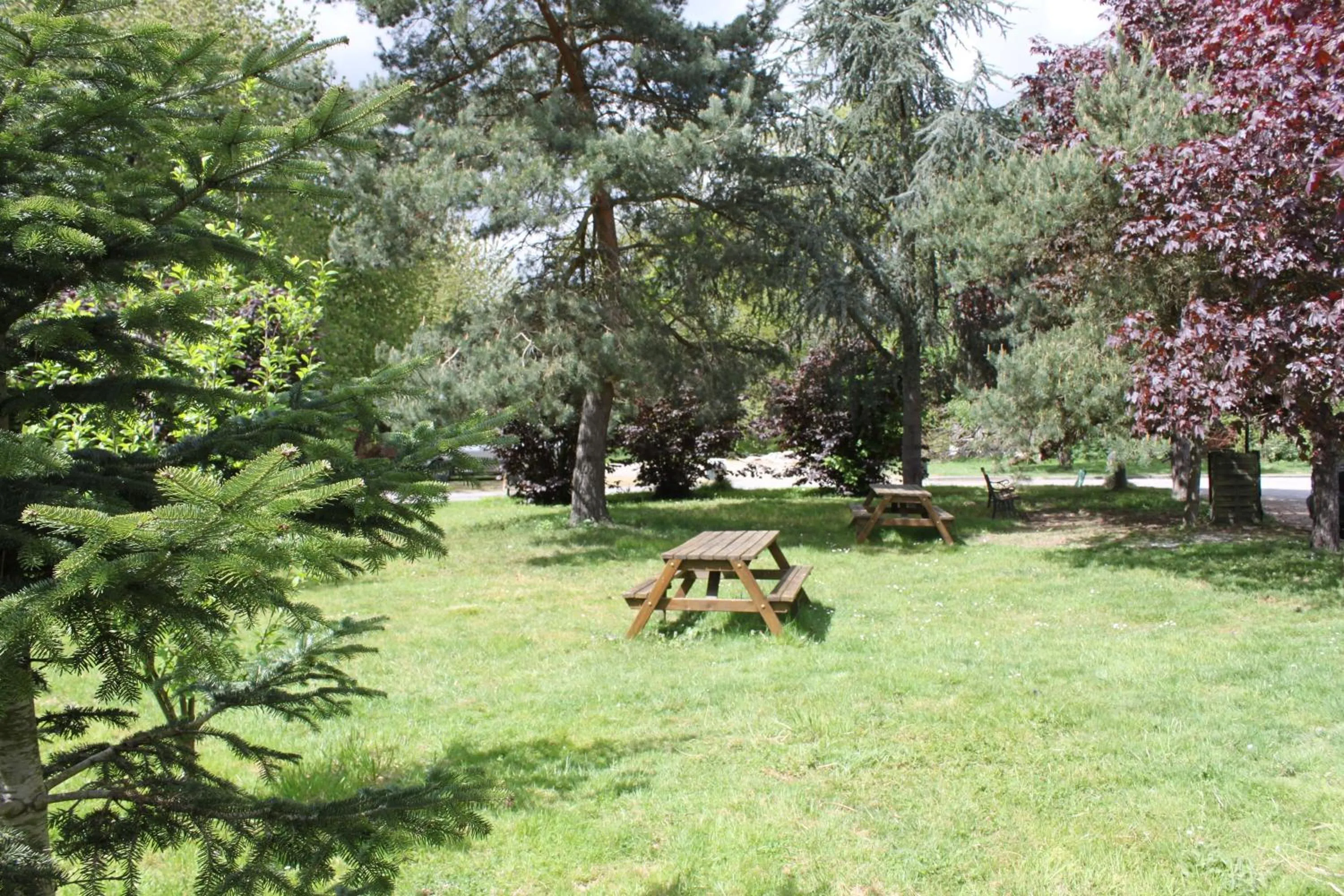 Garden in Logis Hôtel Lodge La Valette