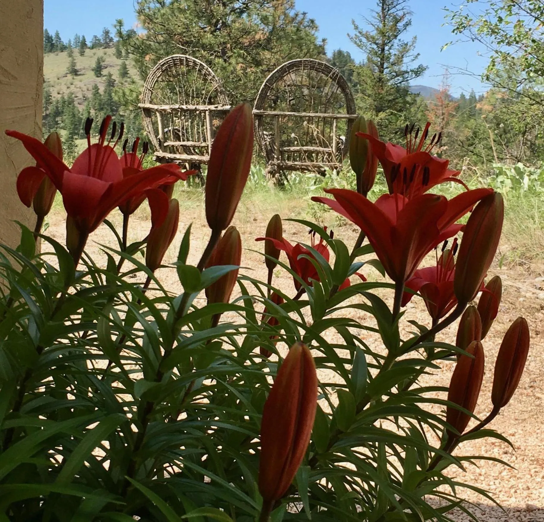 Natural landscape in Casa Colina