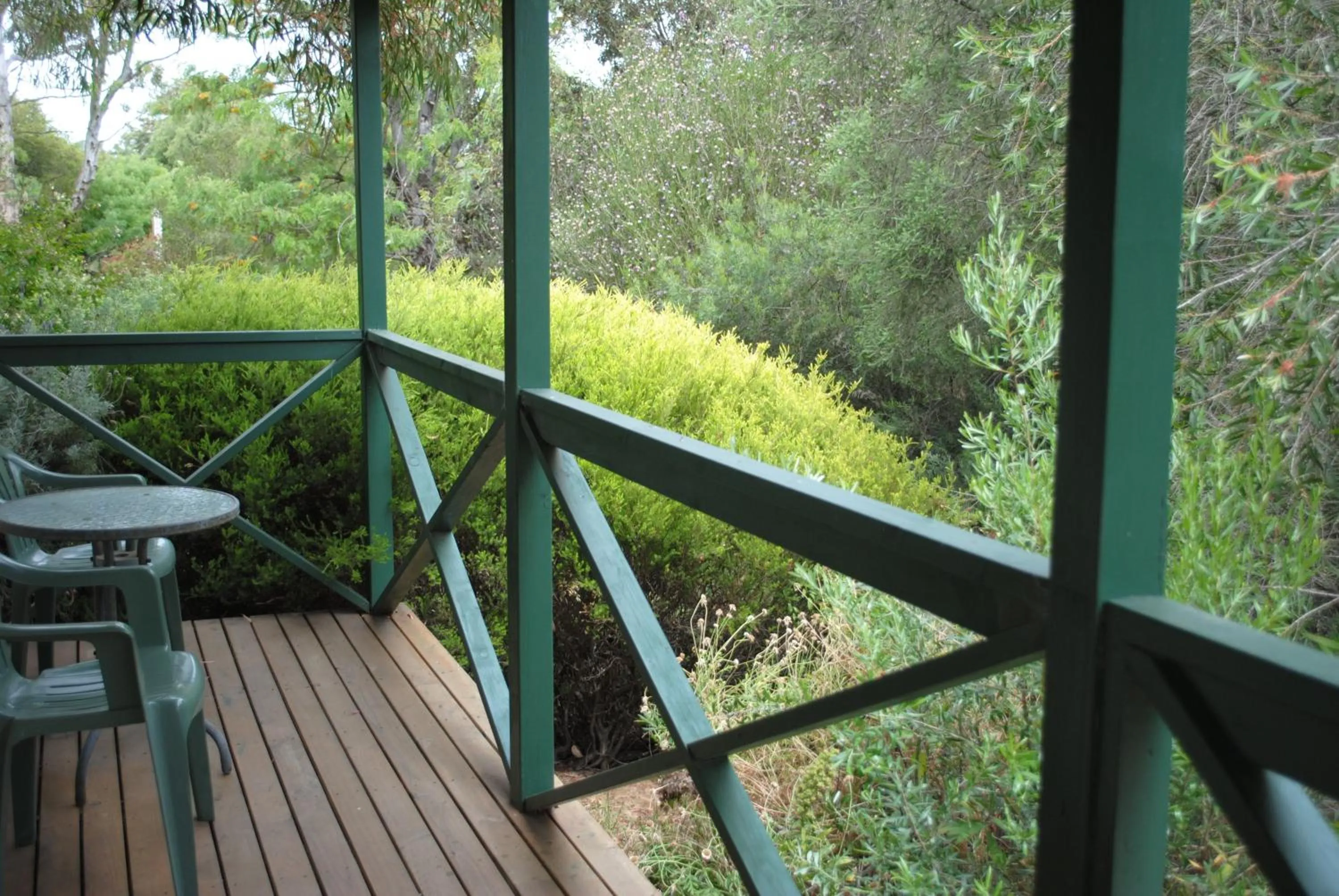 Garden in Padthaway Caravan Park