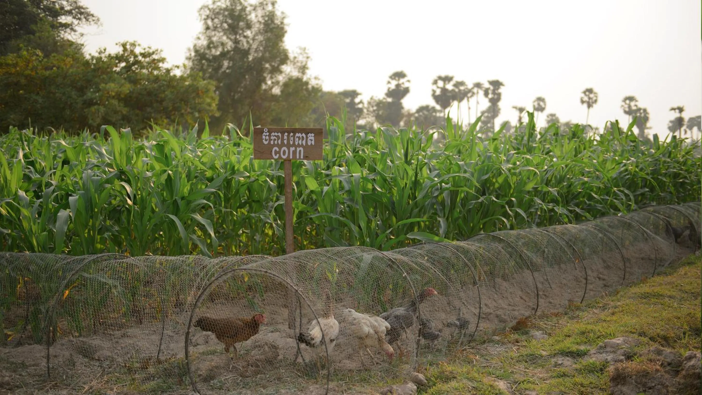 Natural landscape in The Beige