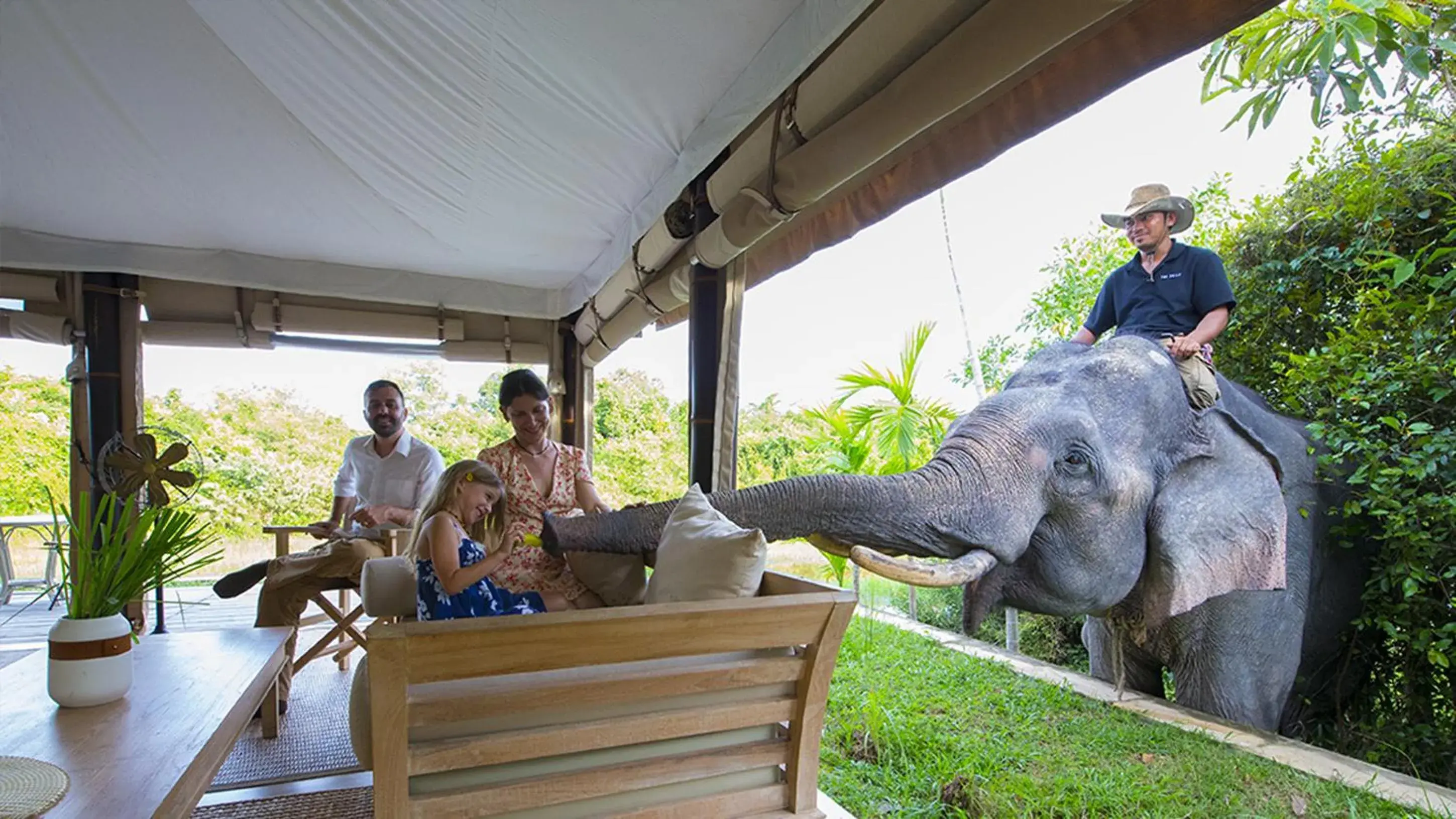 Standard Villa in The Beige Standard Villa in The Beige