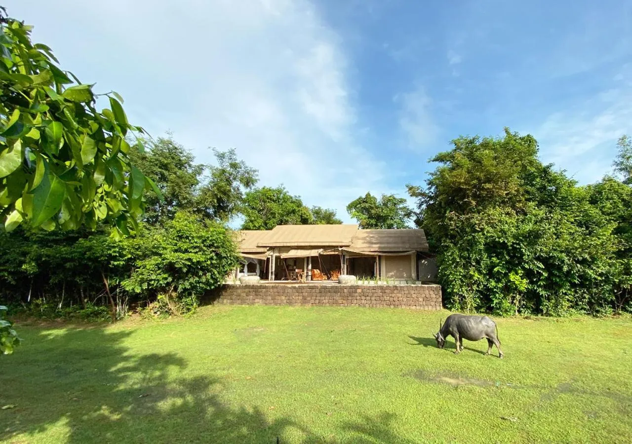 Property building in The Beige