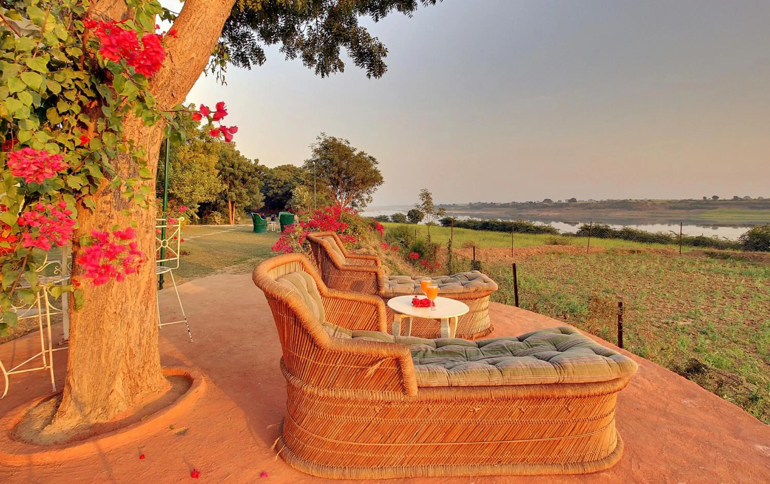 Sunrise in Bhadrawati - A Riverside Safari Lodge Ranthambore