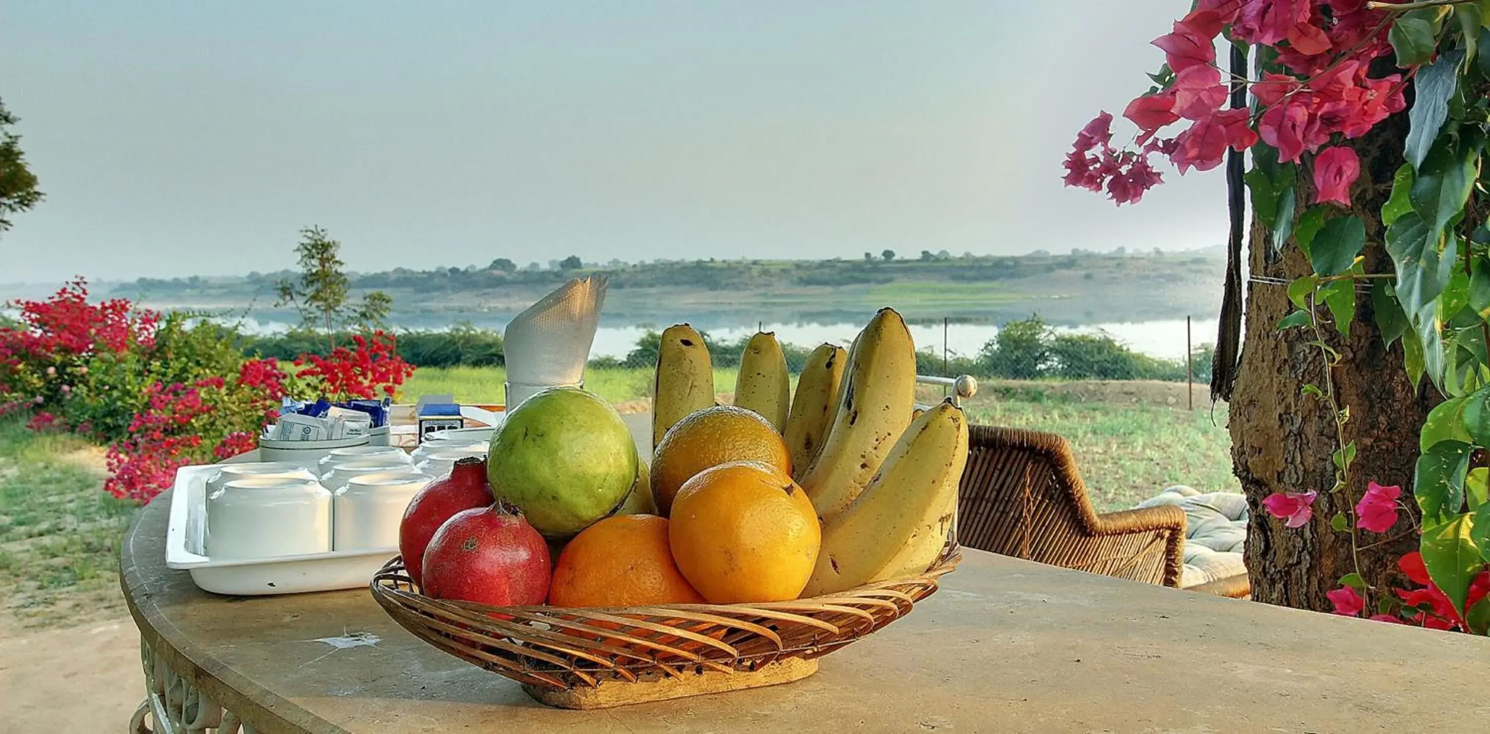 Food and drinks in Bhadrawati - A Riverside Safari Lodge Ranthambore Food and drinks in Bhadrawati - A Riverside Safari Lodge Ranthambore