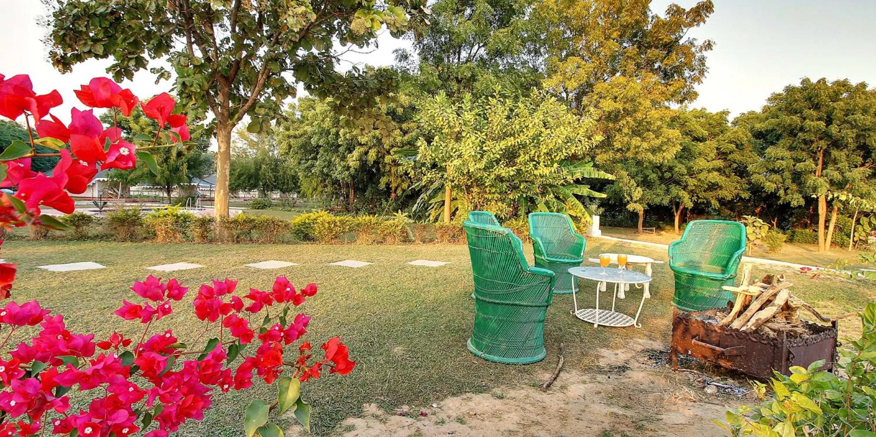 Garden in Bhadrawati - A Riverside Safari Lodge Ranthambore