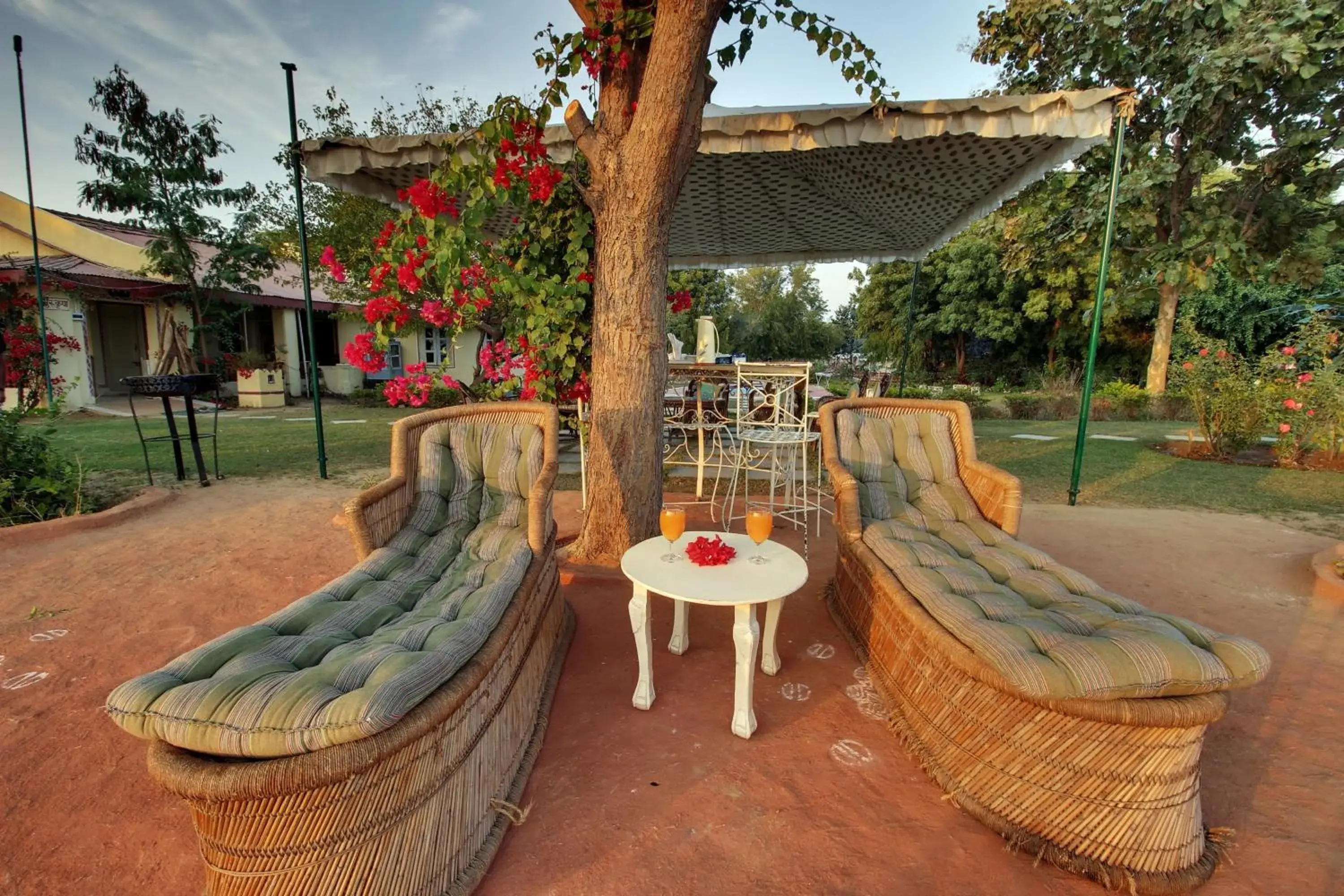 Patio in Bhadrawati - A Riverside Safari Lodge Ranthambore Patio in Bhadrawati - A Riverside Safari Lodge Ranthambore