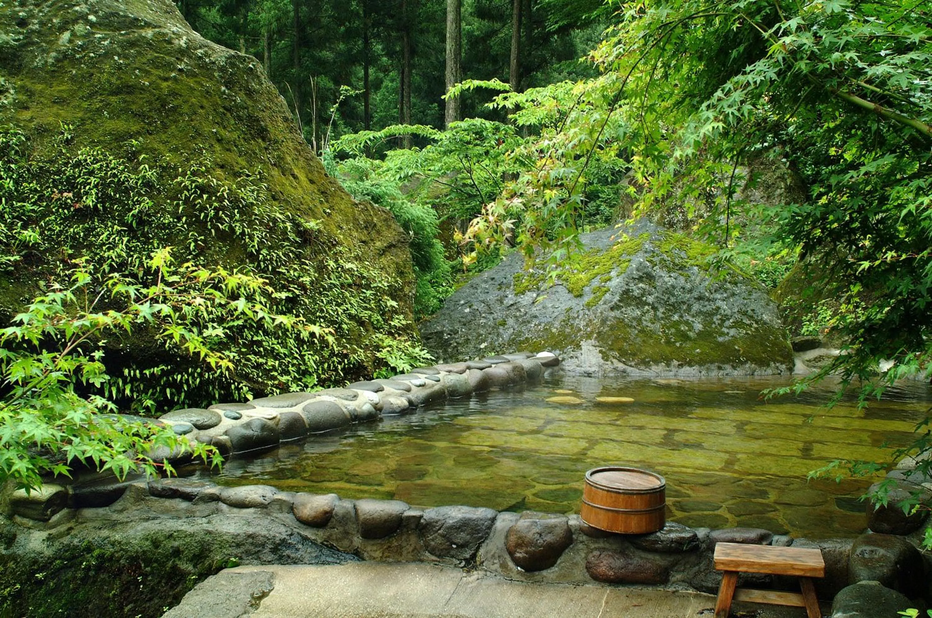 Hot Spring Bath in Auberge Funoki