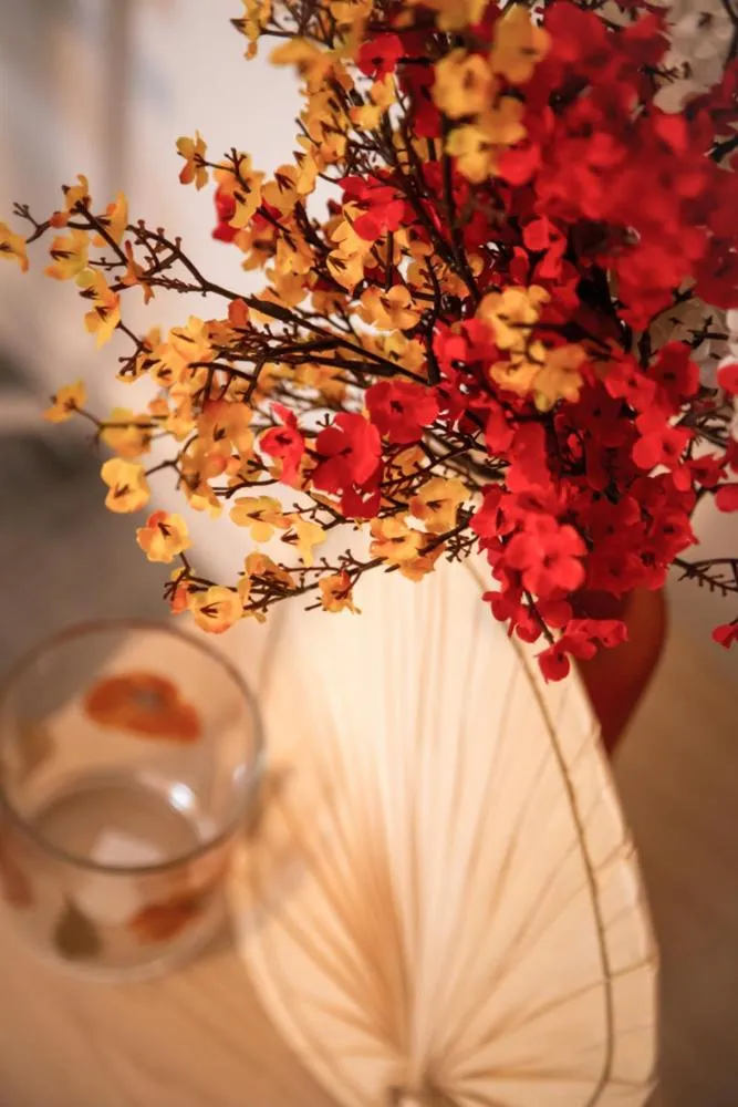 Hotel - B&B Elementum