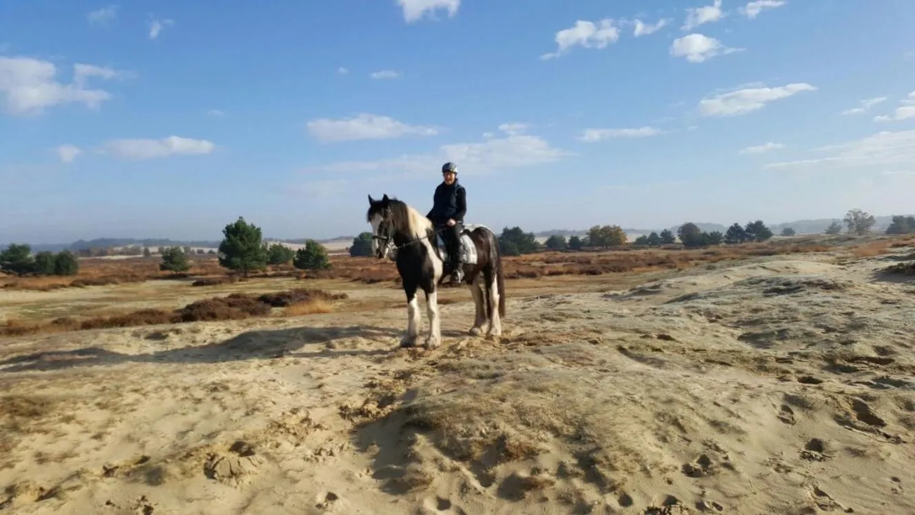 Horse-riding in Beck's Bed and Breakfast