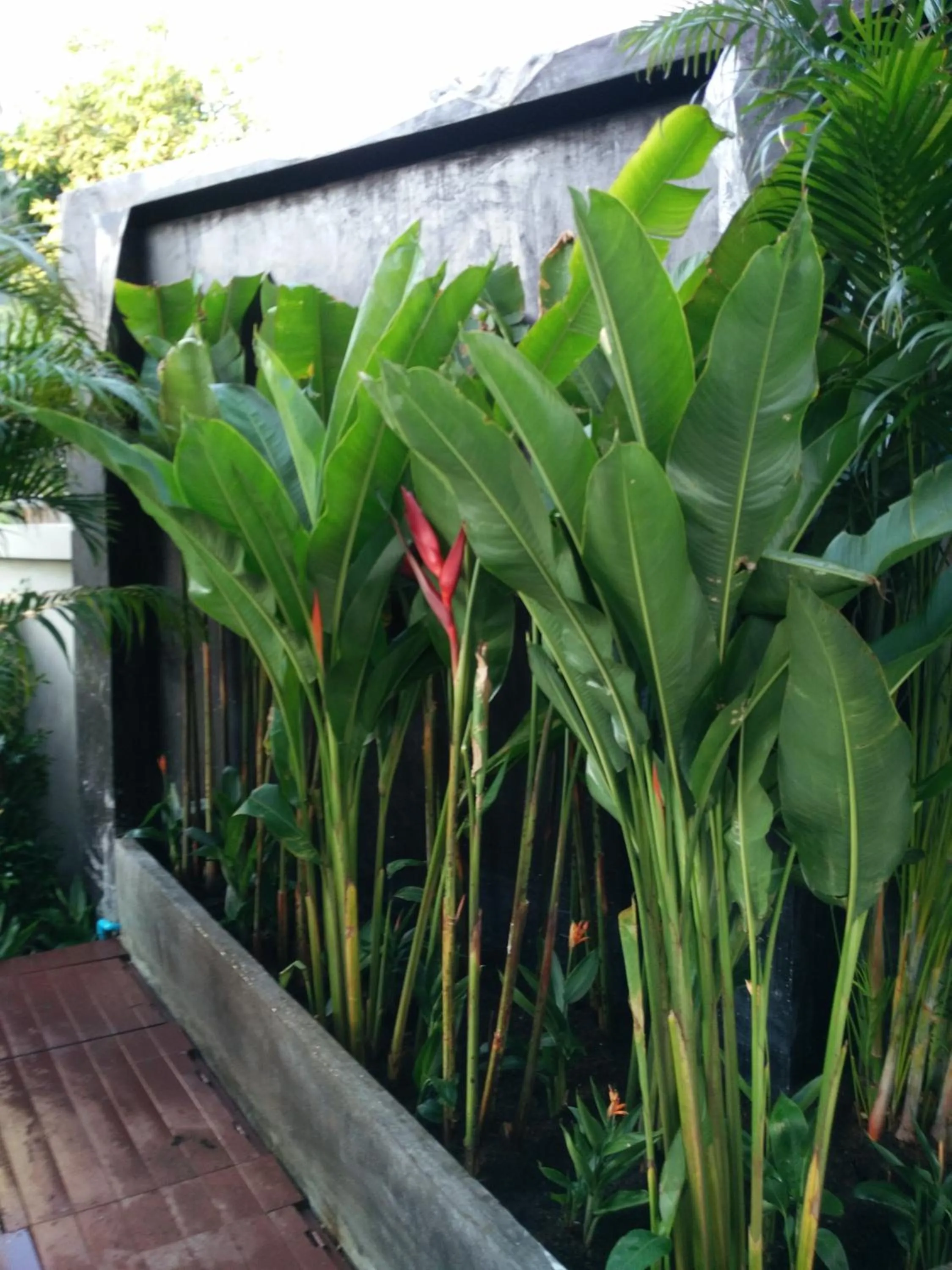 Natural landscape in Hotel De Nara
