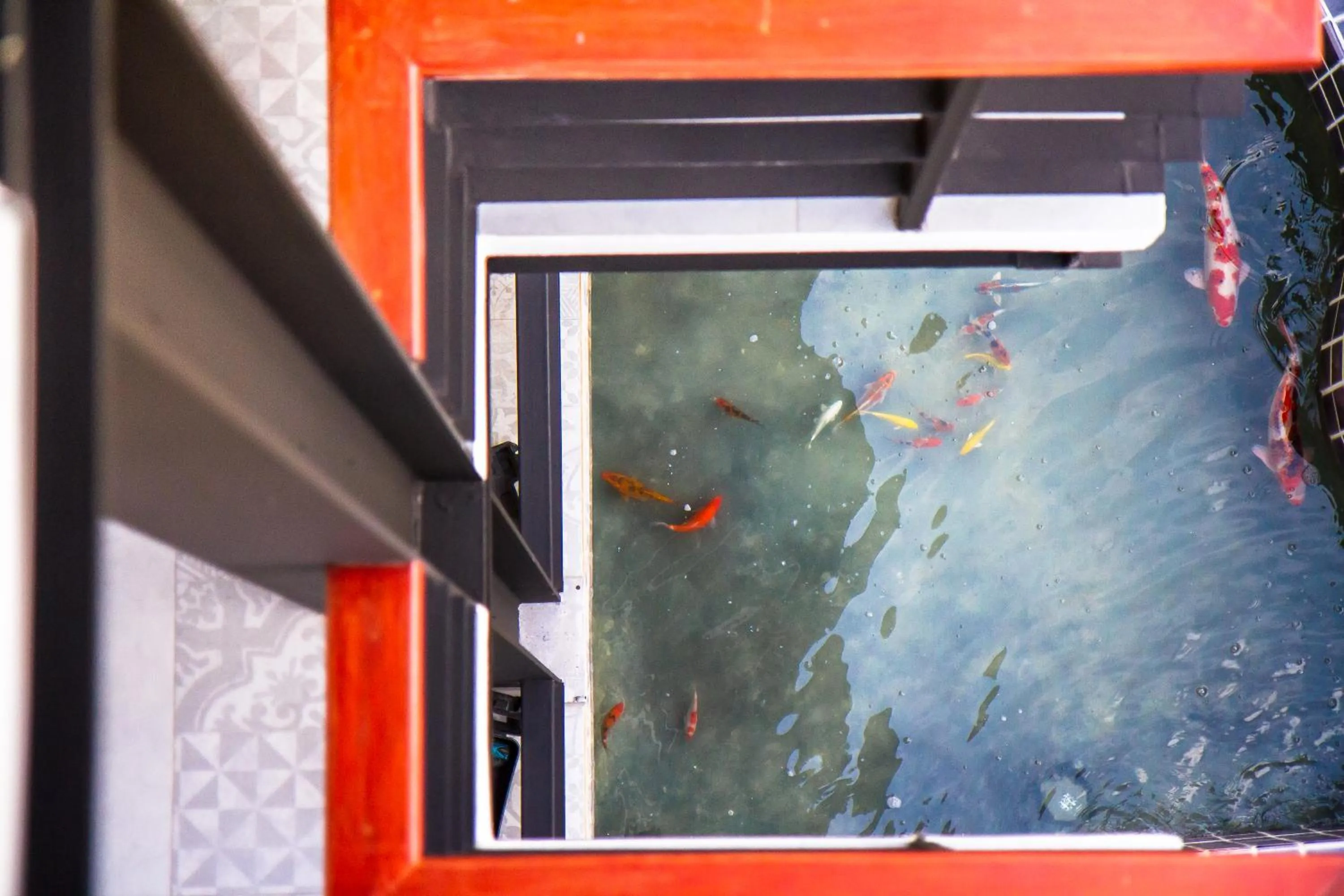 Pets in Hotel De Nara