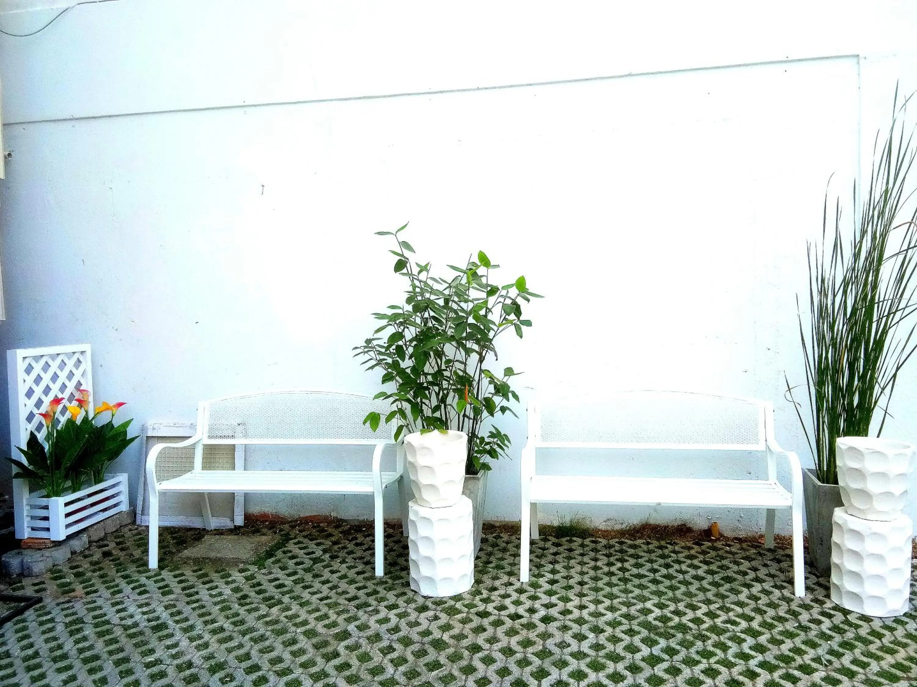 Garden in Hotel De Nara