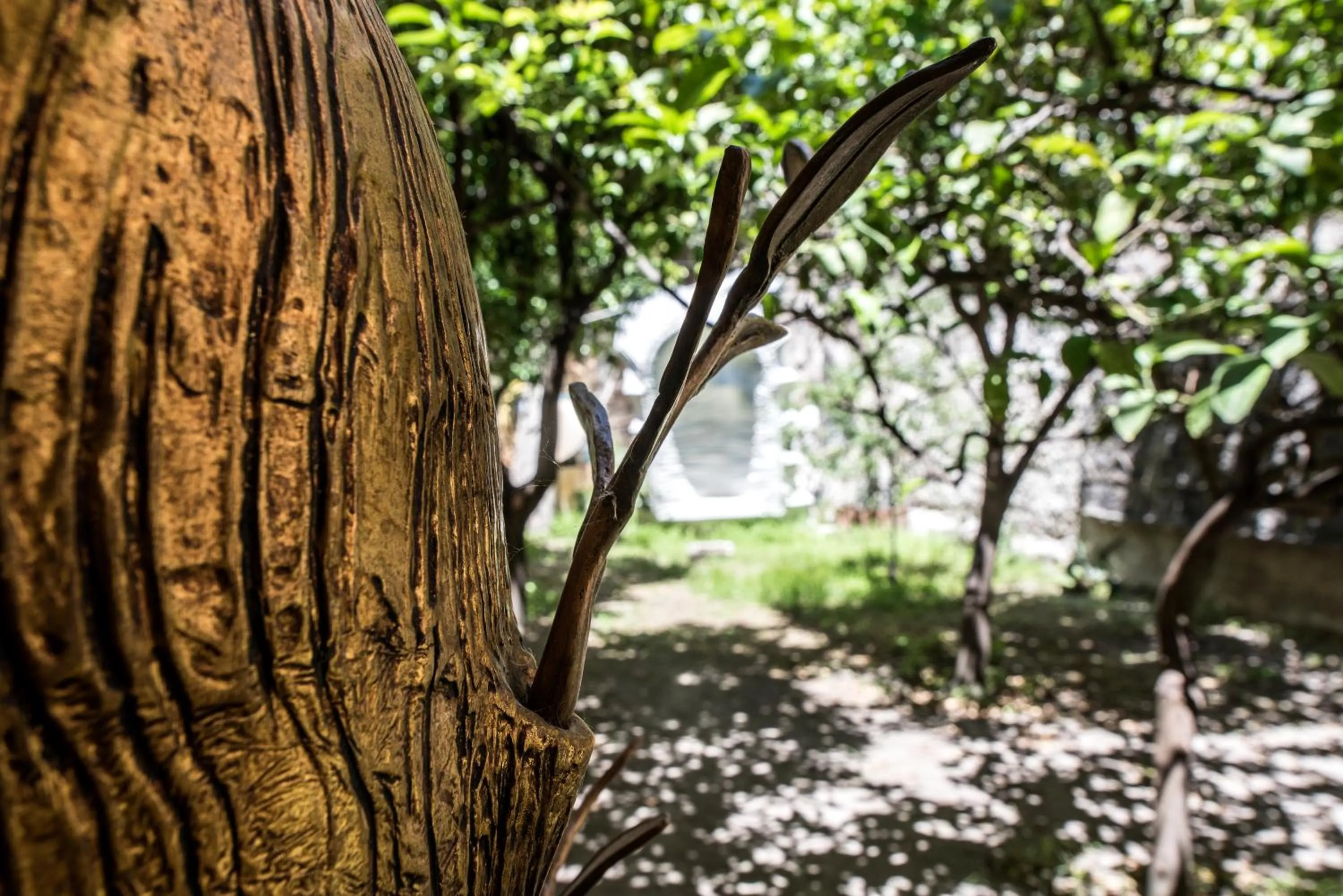 Garden view in Atelier Inès Arts & Suites