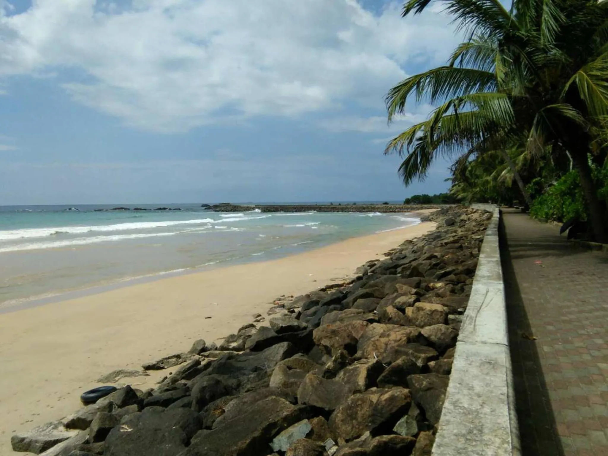 Beach in Windy Garden