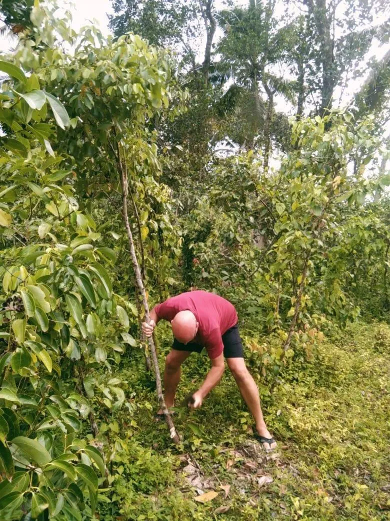 Activities in Windy Garden