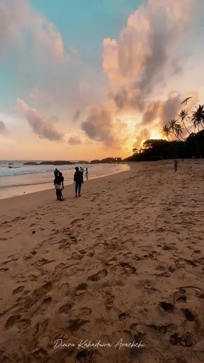 Beach in Windy Garden