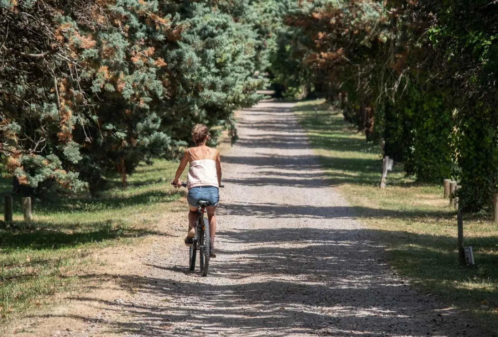 Cycling in Domaine des Dryades