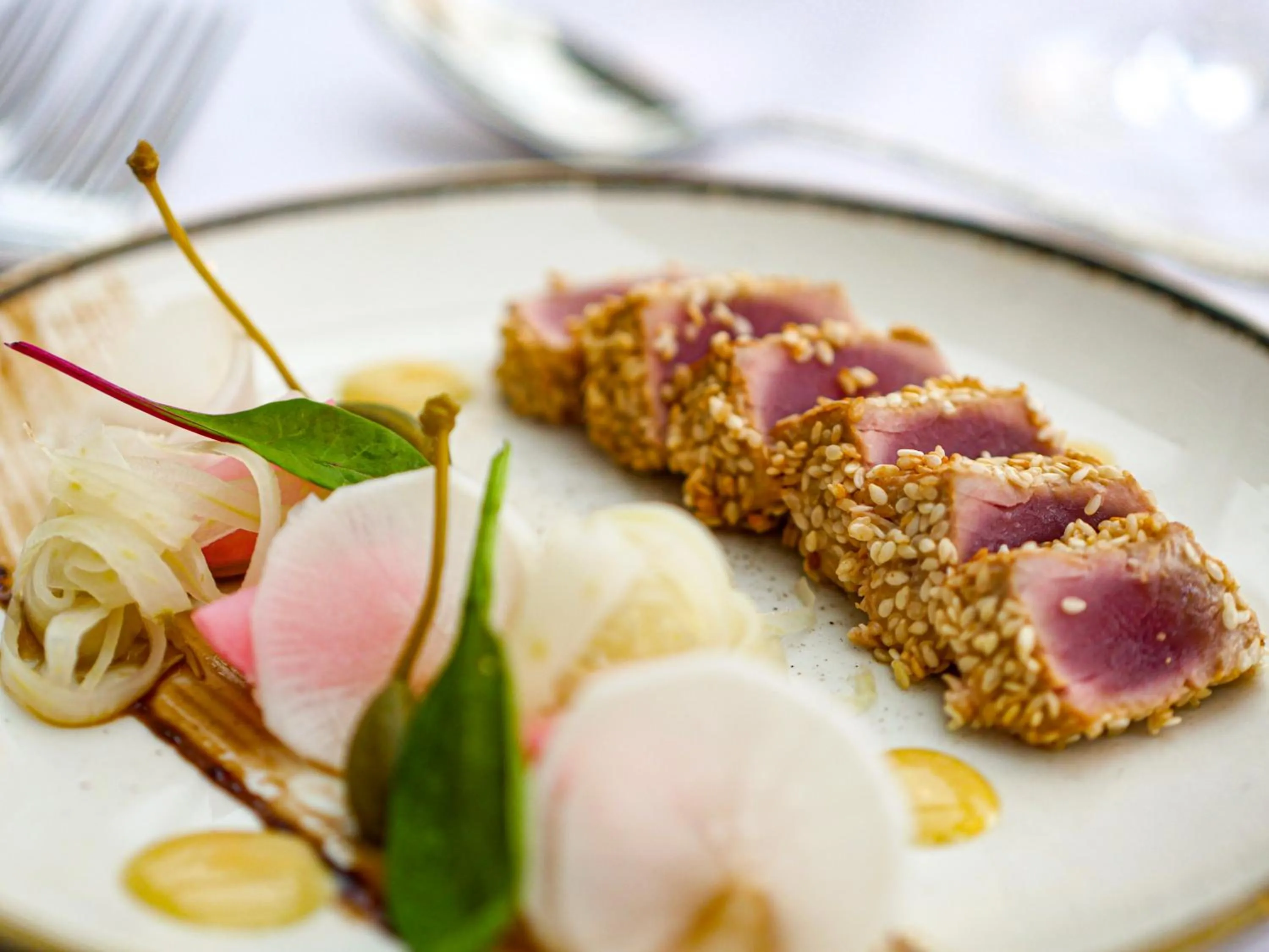 Food in Domaine des Dryades