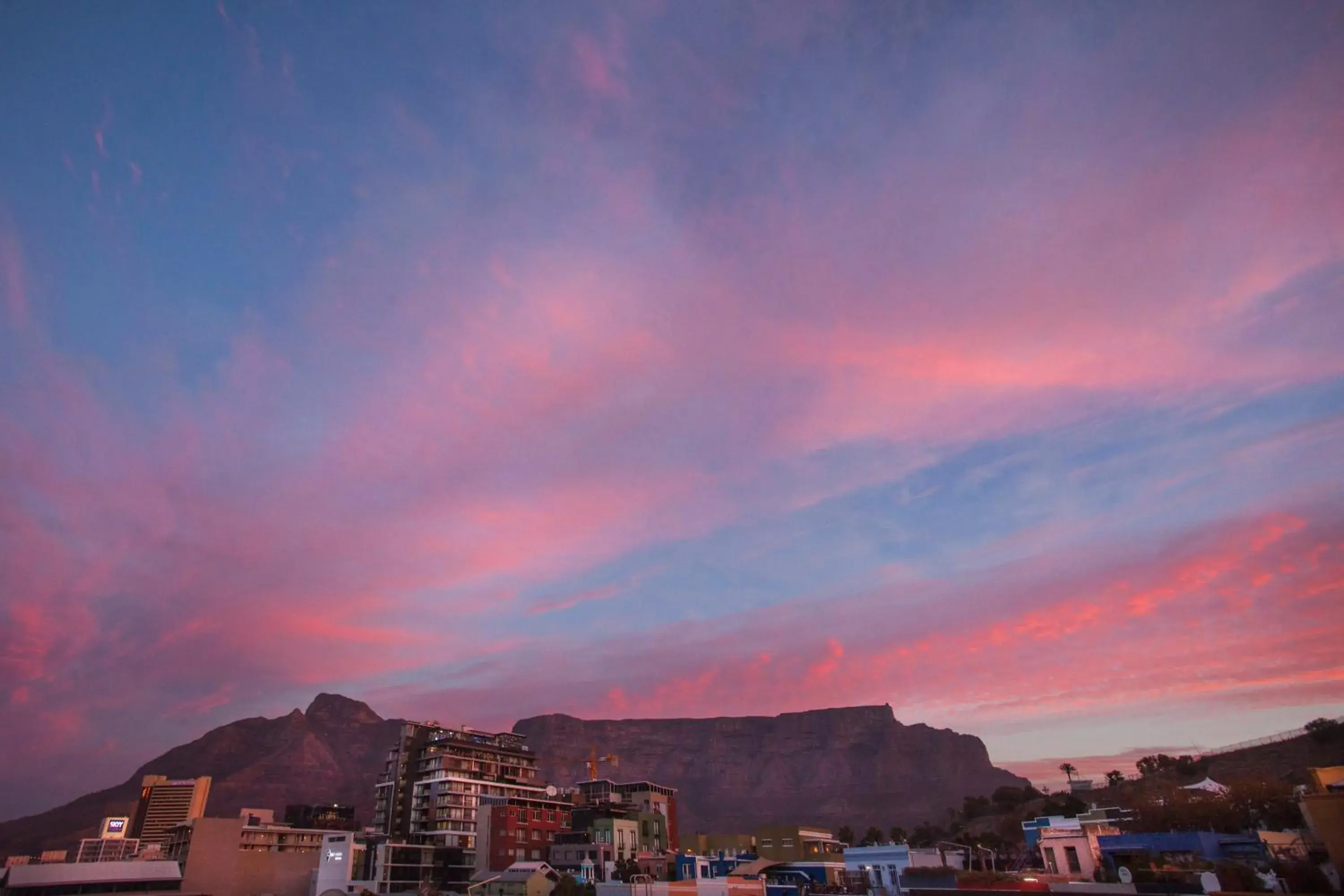 Lounge or bar in The Grey Hotel Lounge or bar in The Grey Hotel