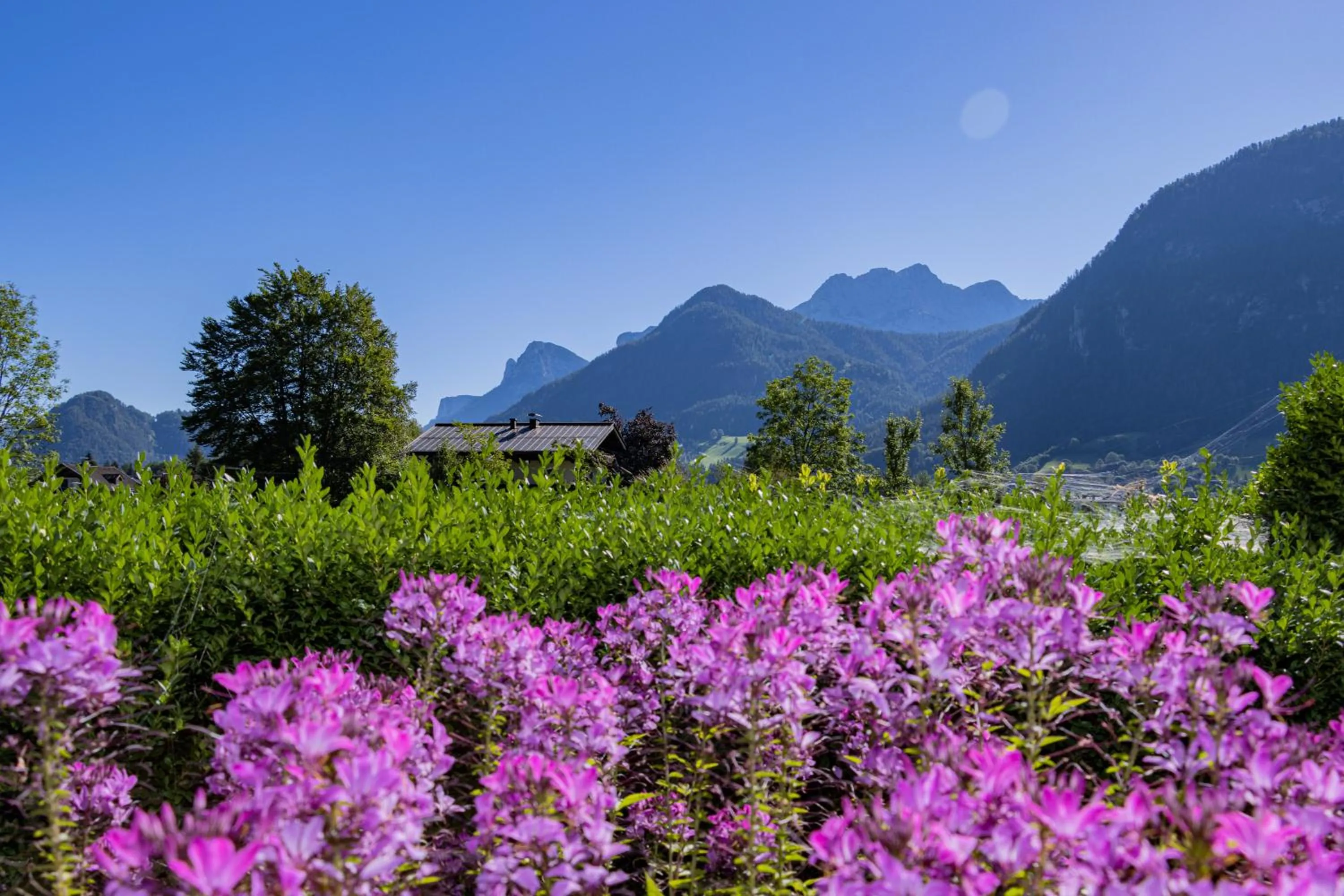 Spring in Ferienhaus Hohenwarter
