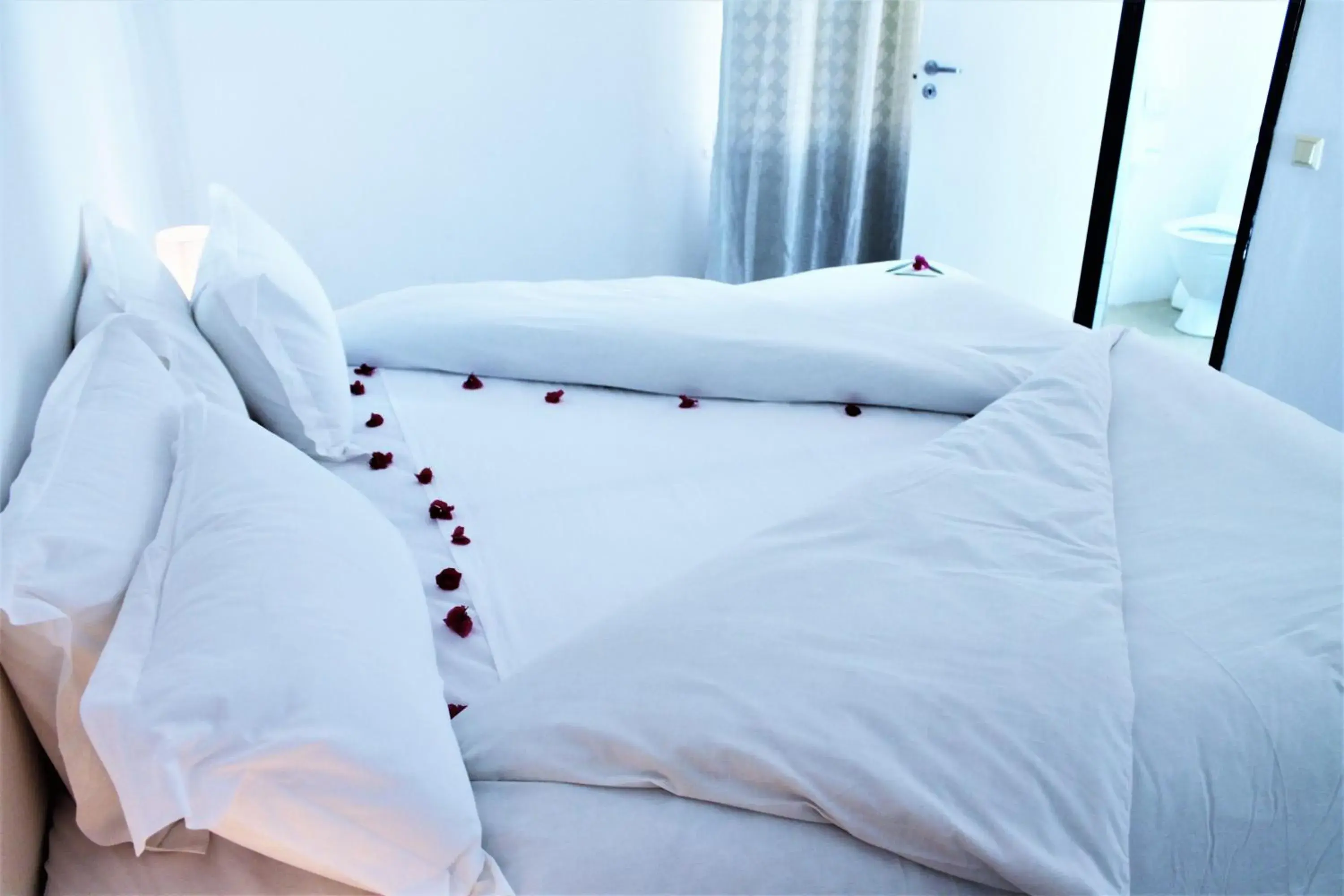 Deluxe Apartment - single occupancy in Bungalow Beach Hotel Deluxe Apartment - single occupancy in Bungalow Beach Hotel